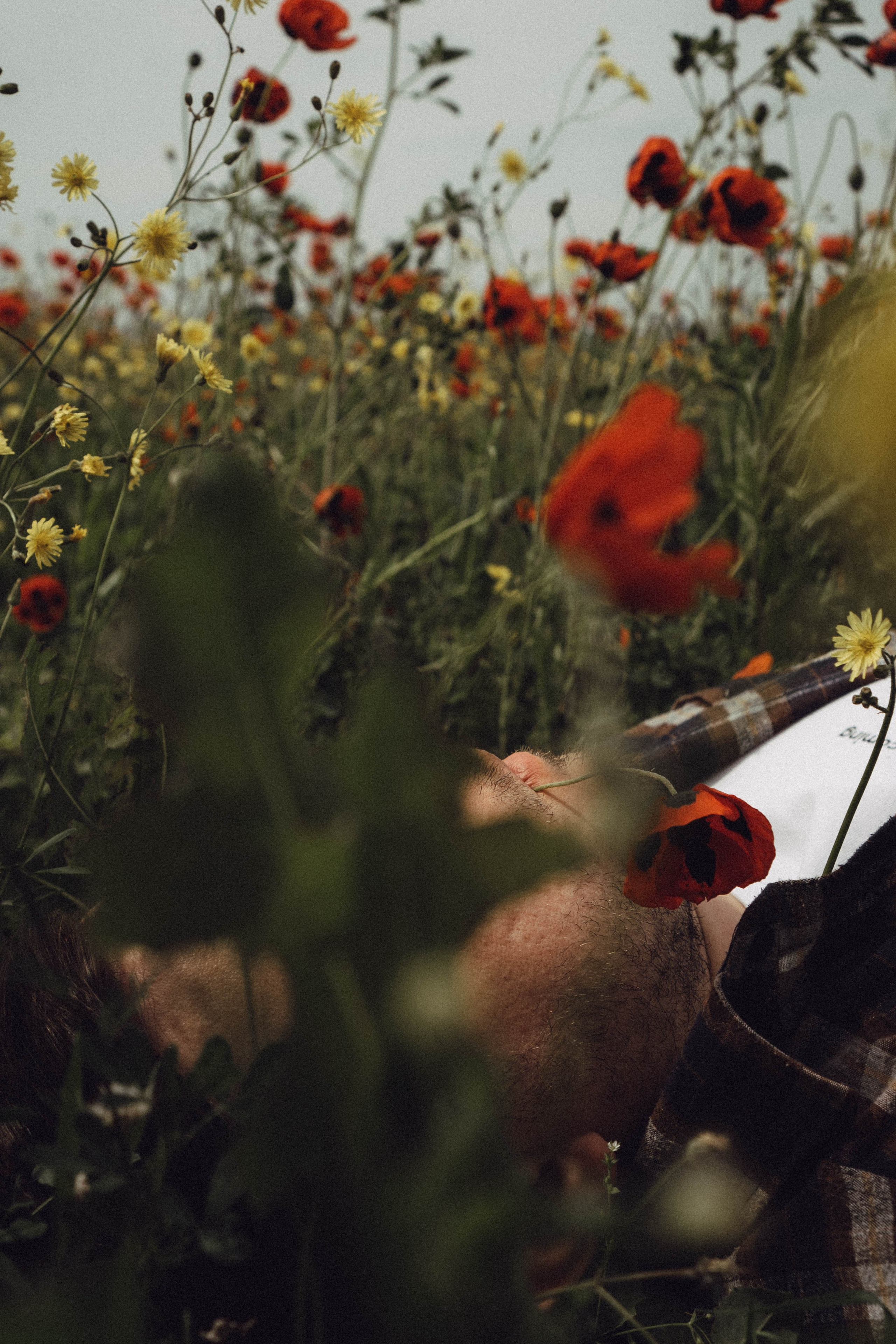 Маки. Профессиональный фотограф, Санкт-Петербург — Виктория Богомолова