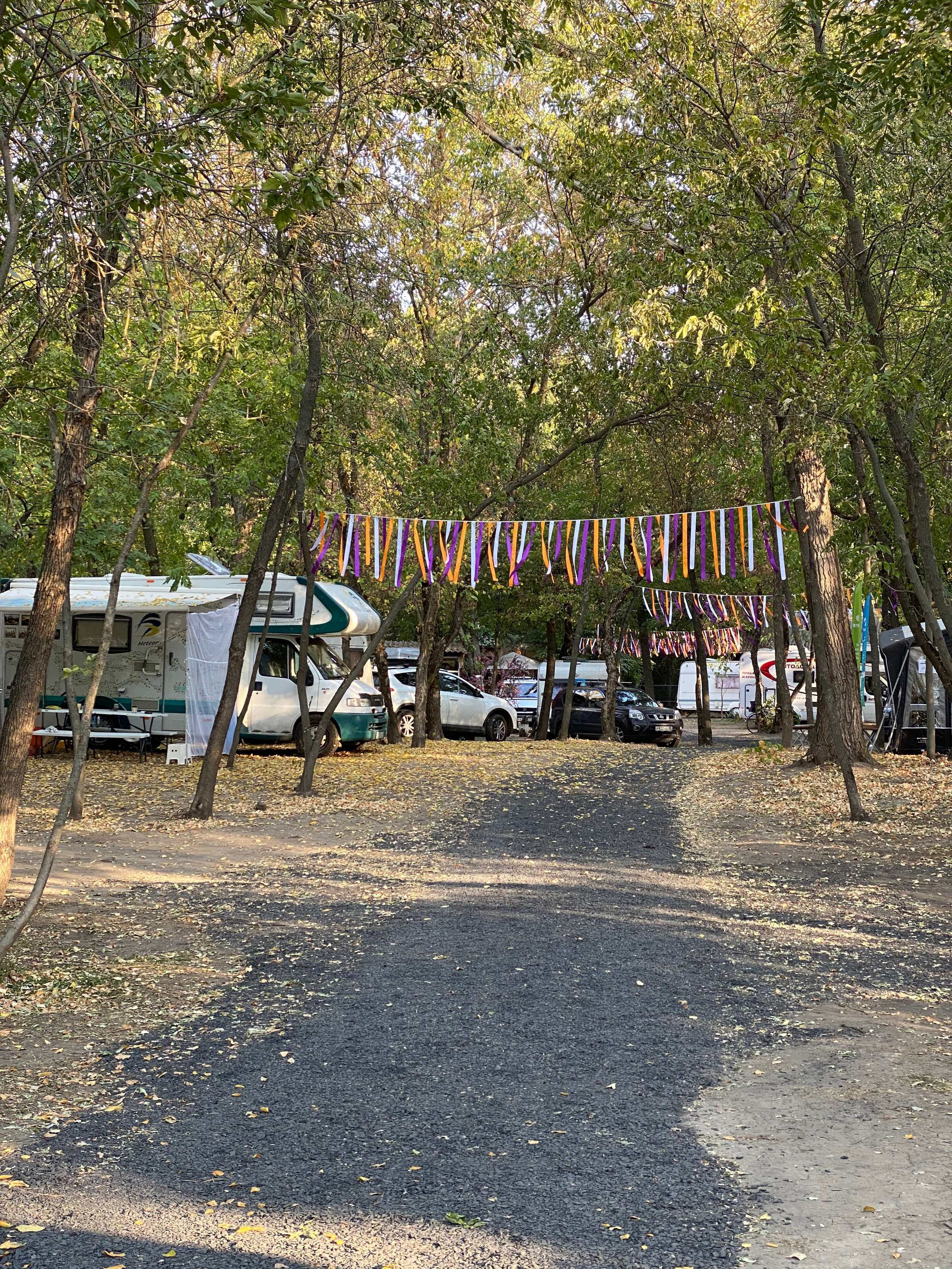 АбунаФест, Камышовый Рай — 20. Своя Мастерская