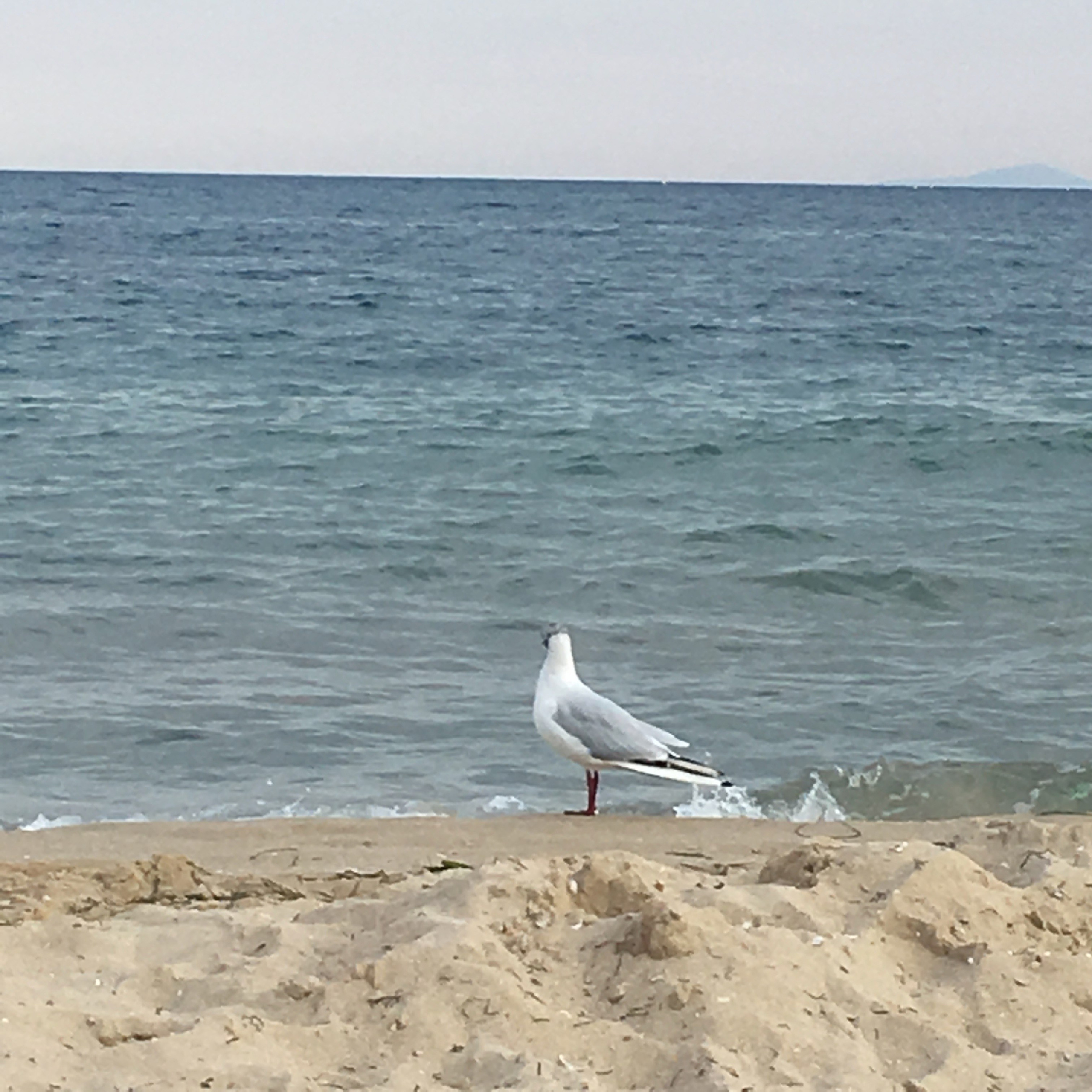 Болгария. Главная