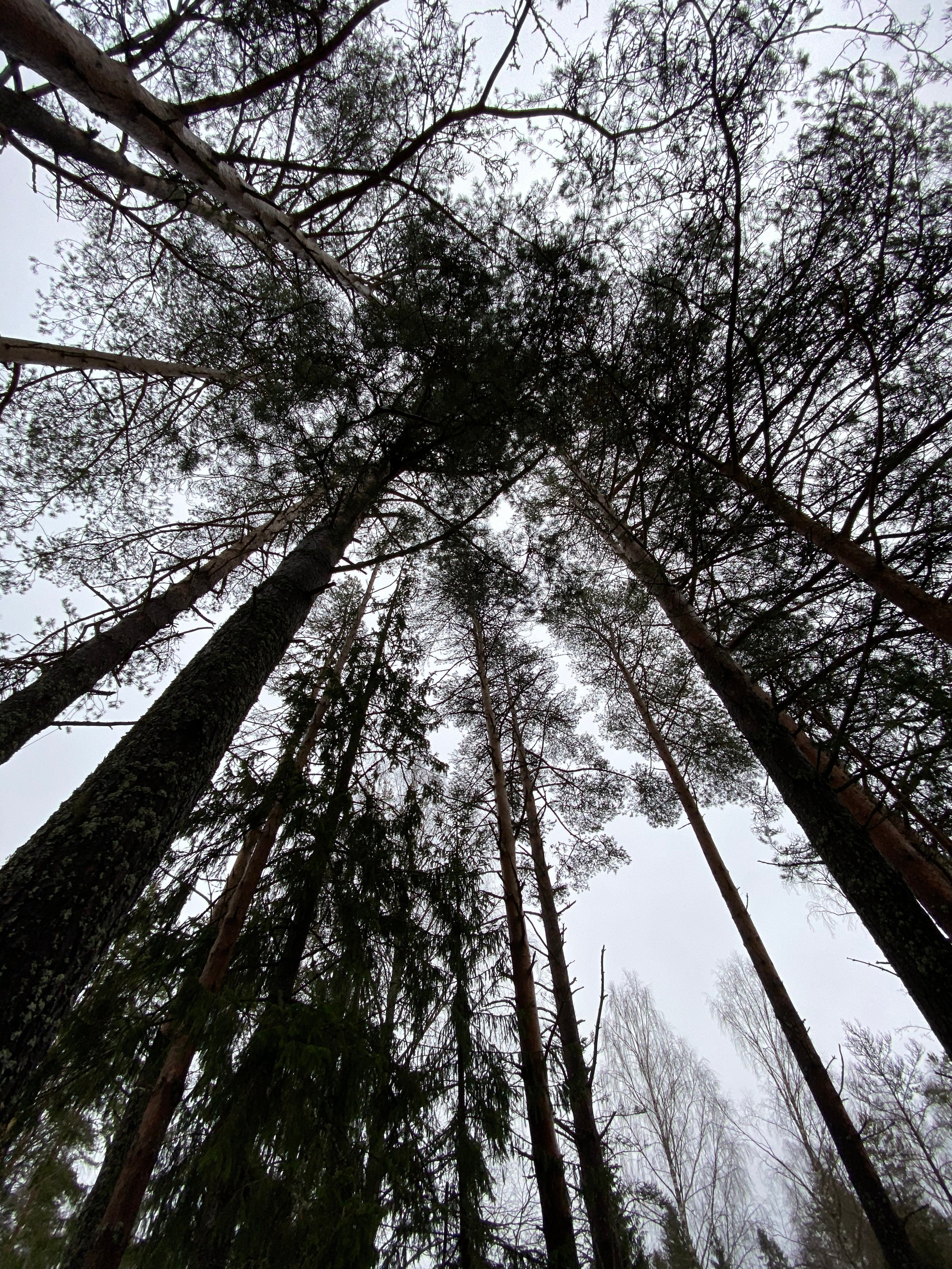 Вокруг Селигера-20. Своя Мастерская