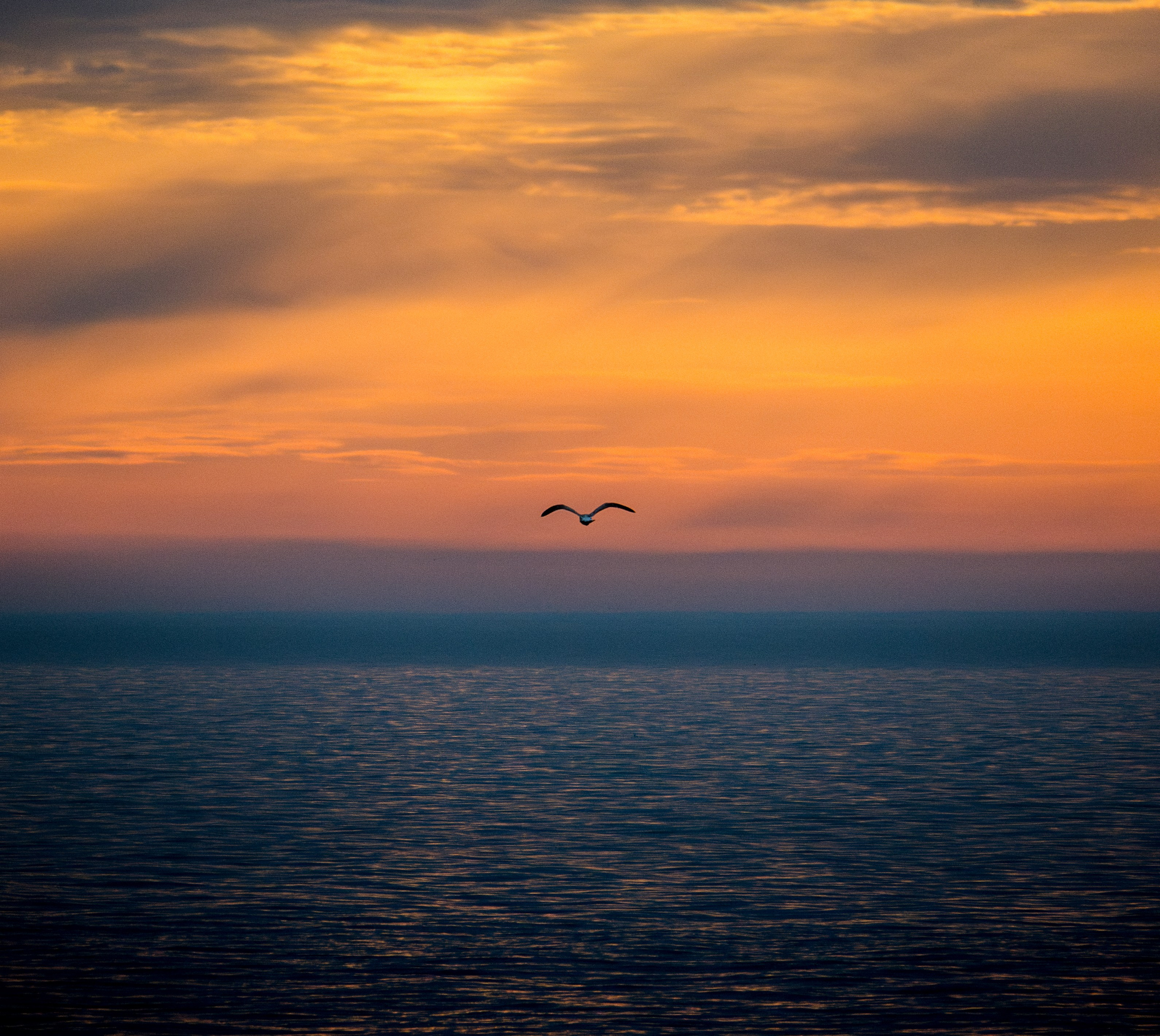 Окружение через объектив