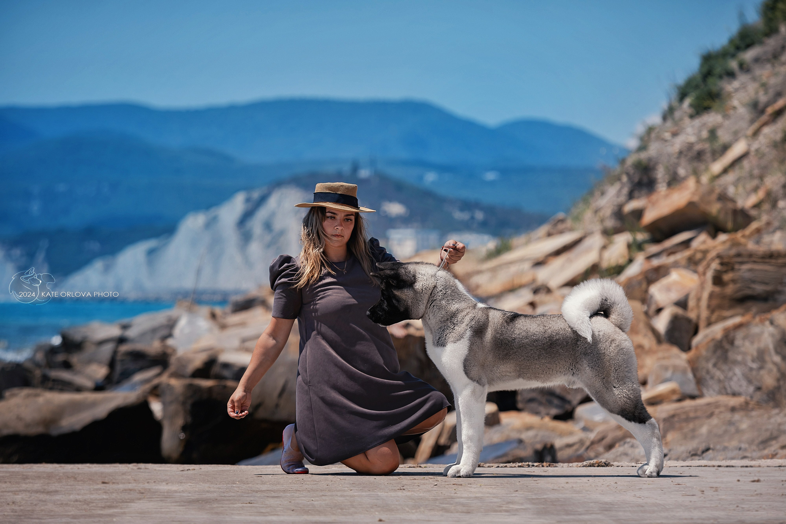 Фотосъемка собак, щенков, на выставках, фотограф анималист Россия воронеж. Питомник собак Акита, Хаски, Корги