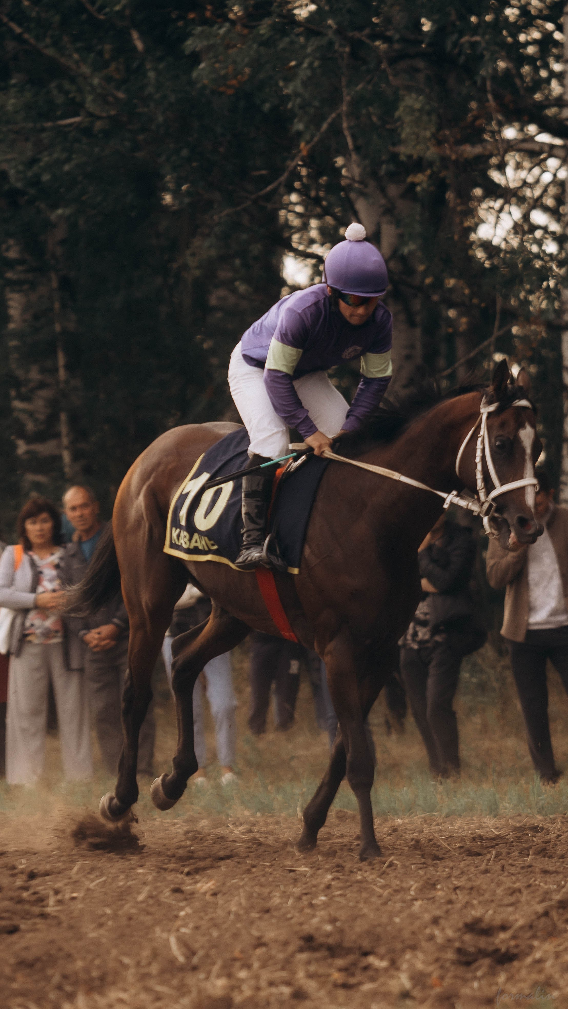 День Коня. Алиса Никитцова | Фотограф в Казани