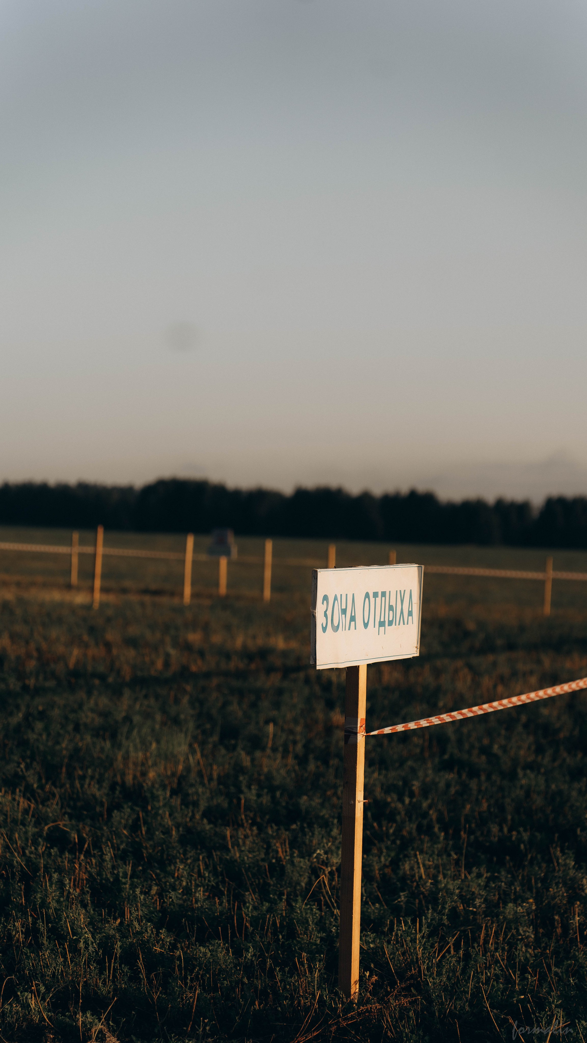 День Коня. Алиса Никитцова | Фотограф в Казани