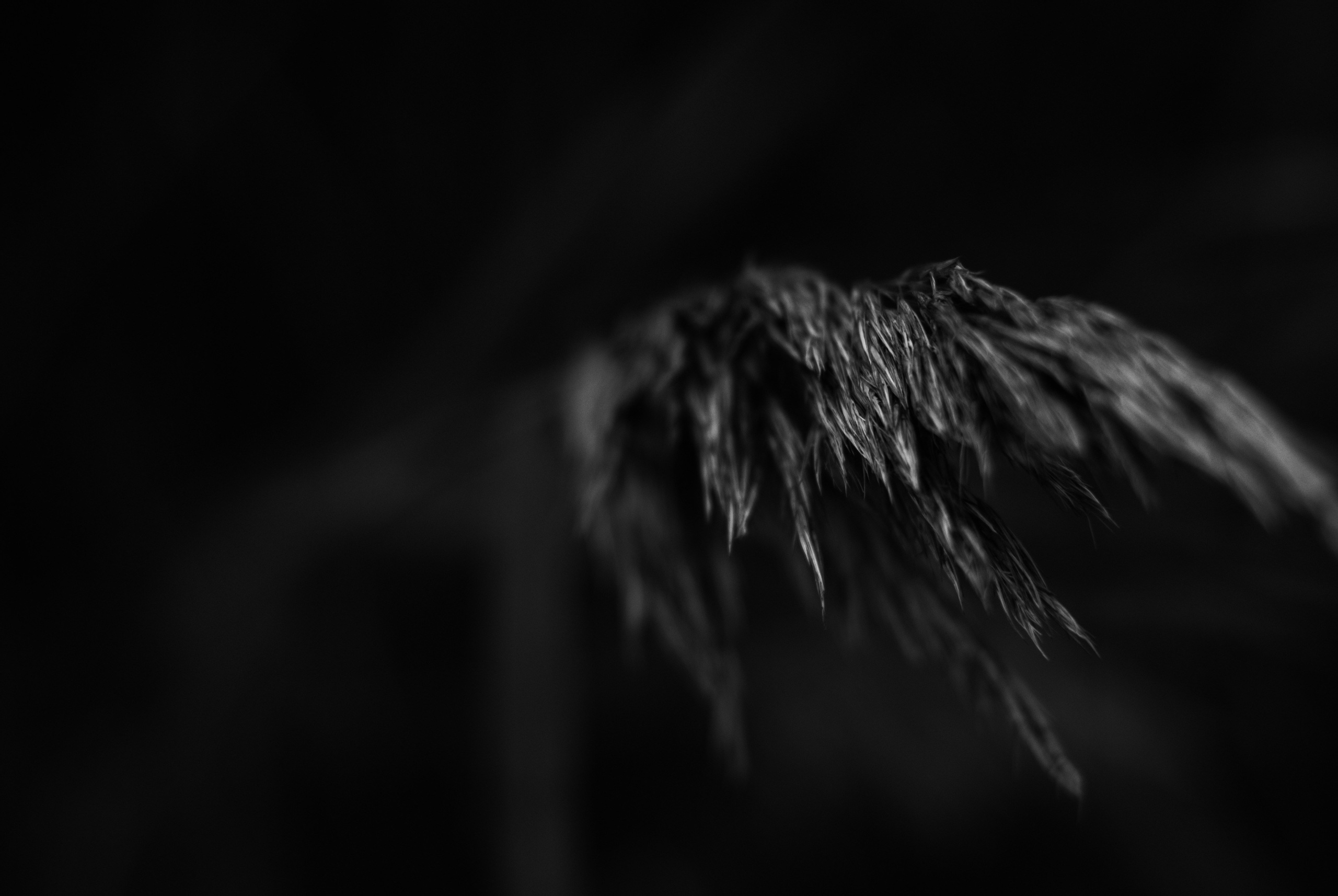 Внутривенные сны (2018-2023)