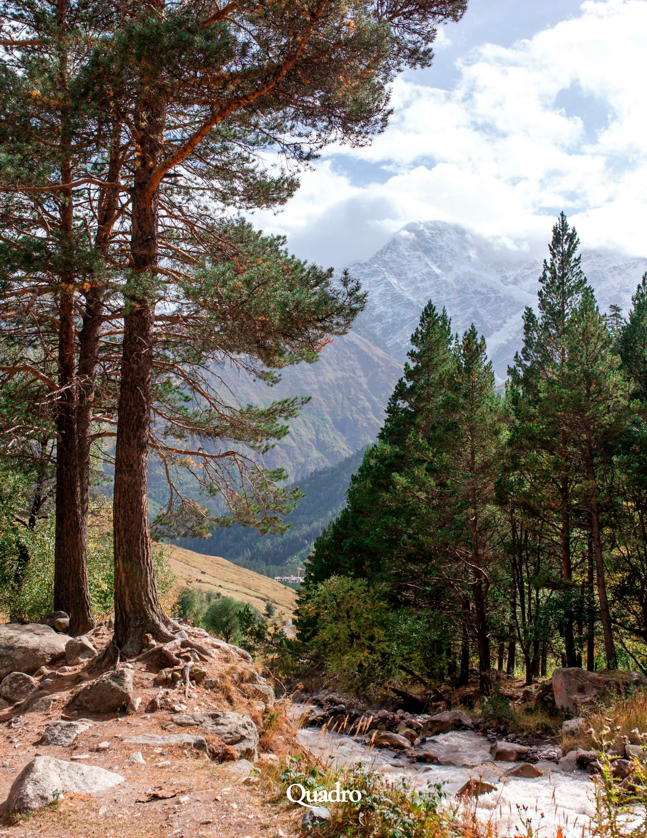 QUADRO Italy 2023 / SEPT. Мобильный загородный фотограф в СПб и Ленинградской области. Портретны