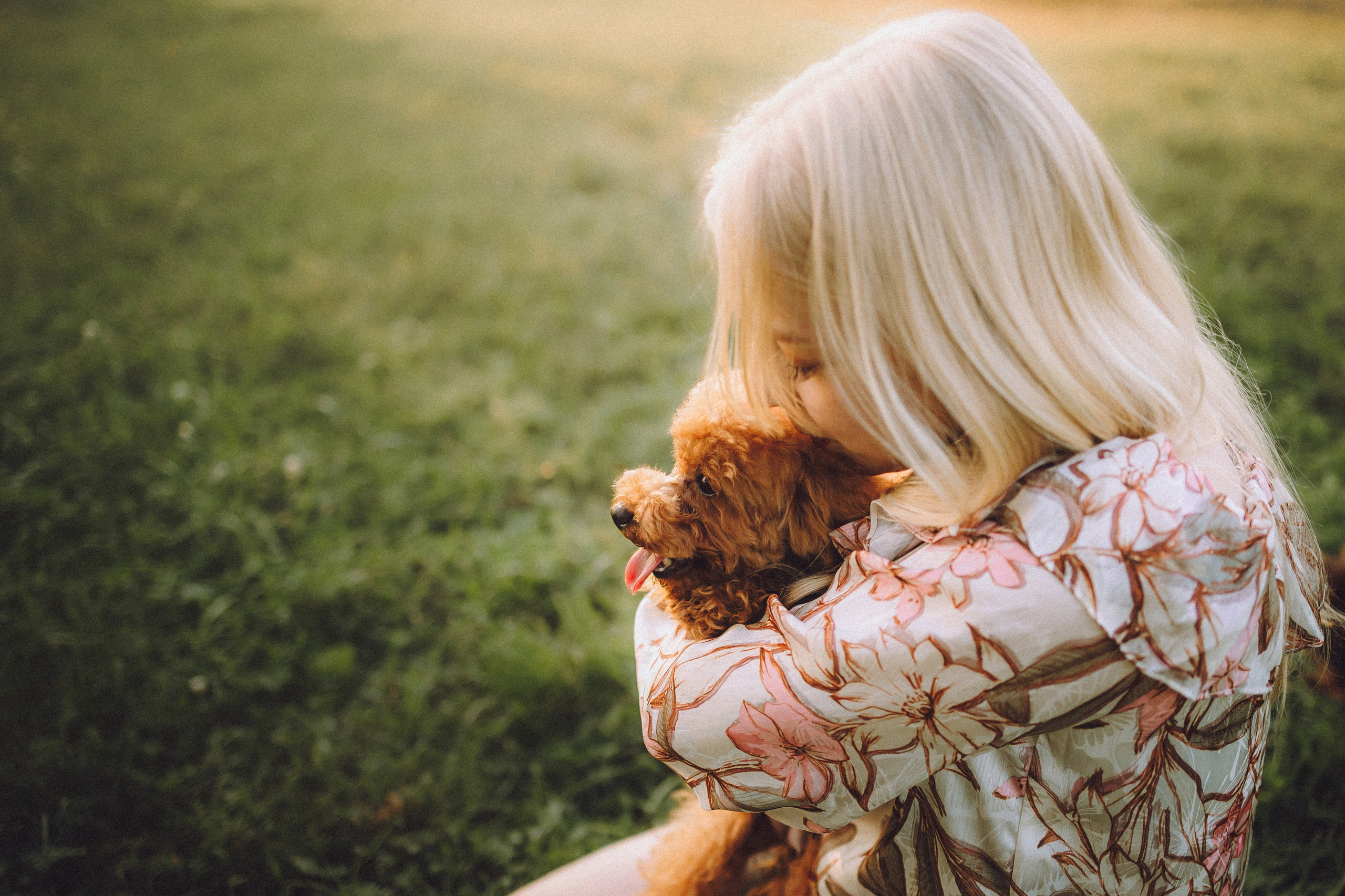 Гречка, Кари и щенки