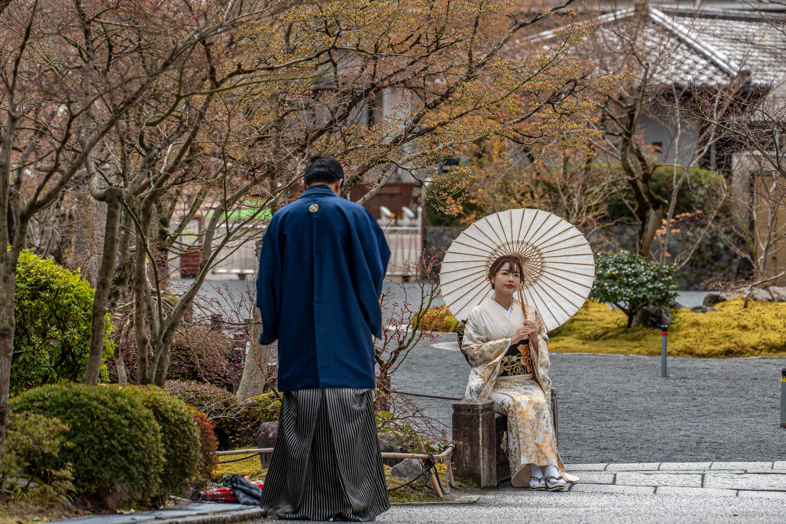 Япония, сакура. Творческие сьемки
