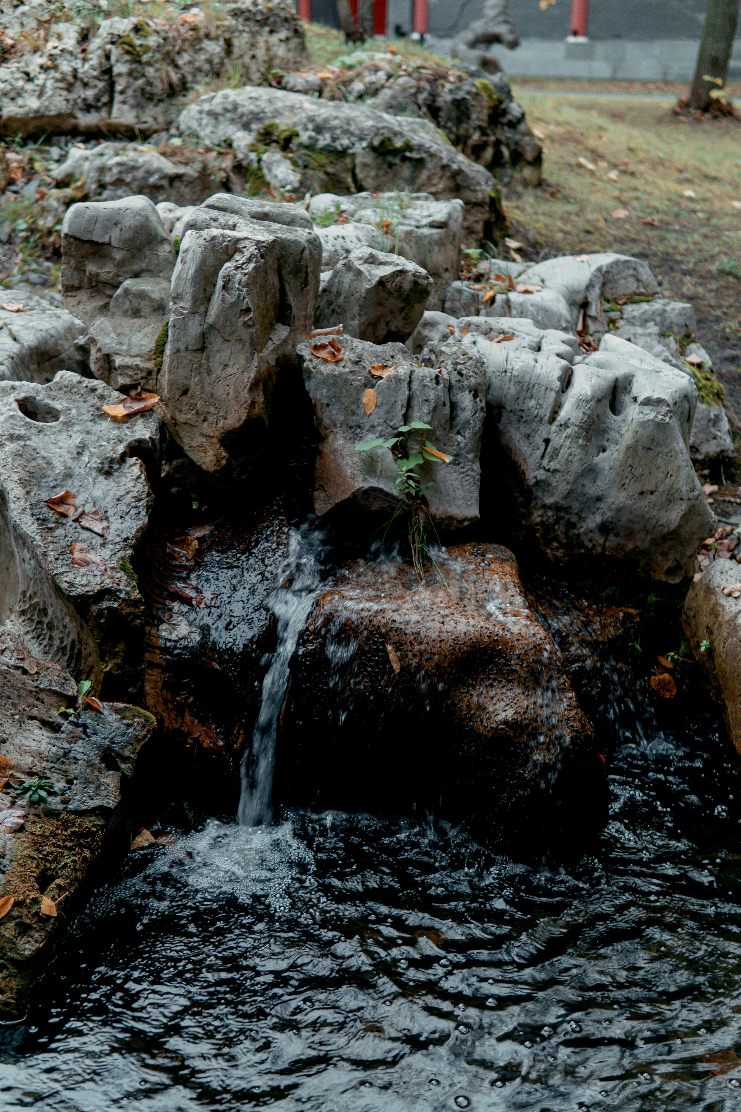 Китайский сад Хуамин. Алексей Никифоров свадебный и семейный фотограф Москва, Химки