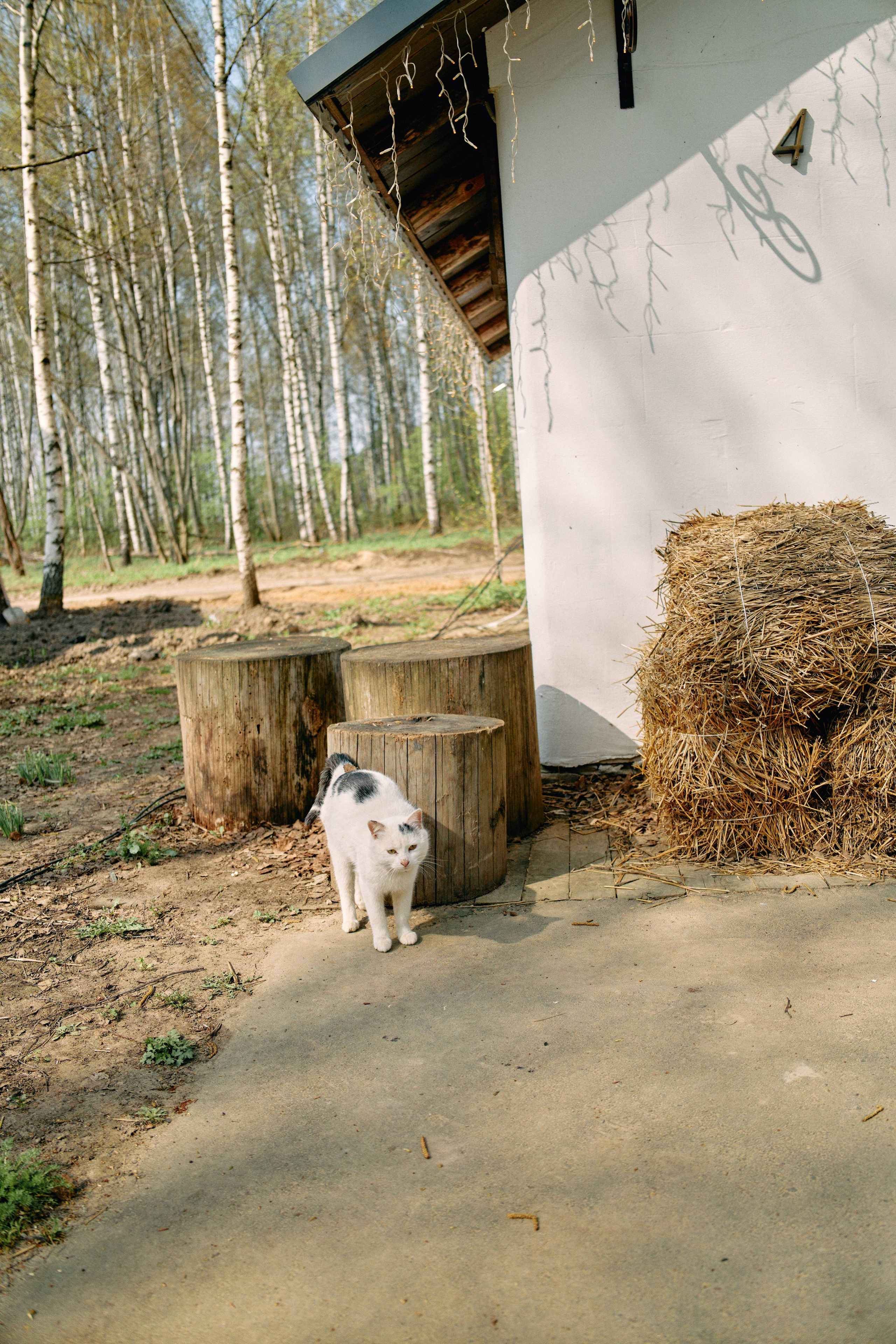 Бутик-отель Поле летом. Профессиональный Фотограф во Владимире, в Москве и в Суздале — Полина Романычева