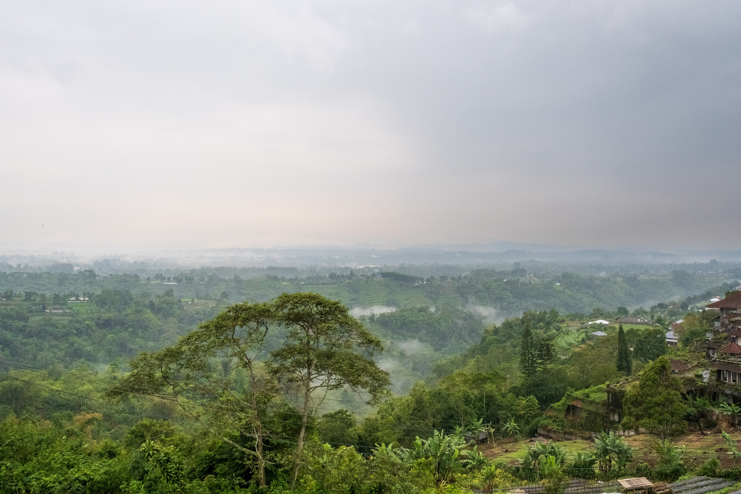 Остров Бали. Фотографии из путешествий