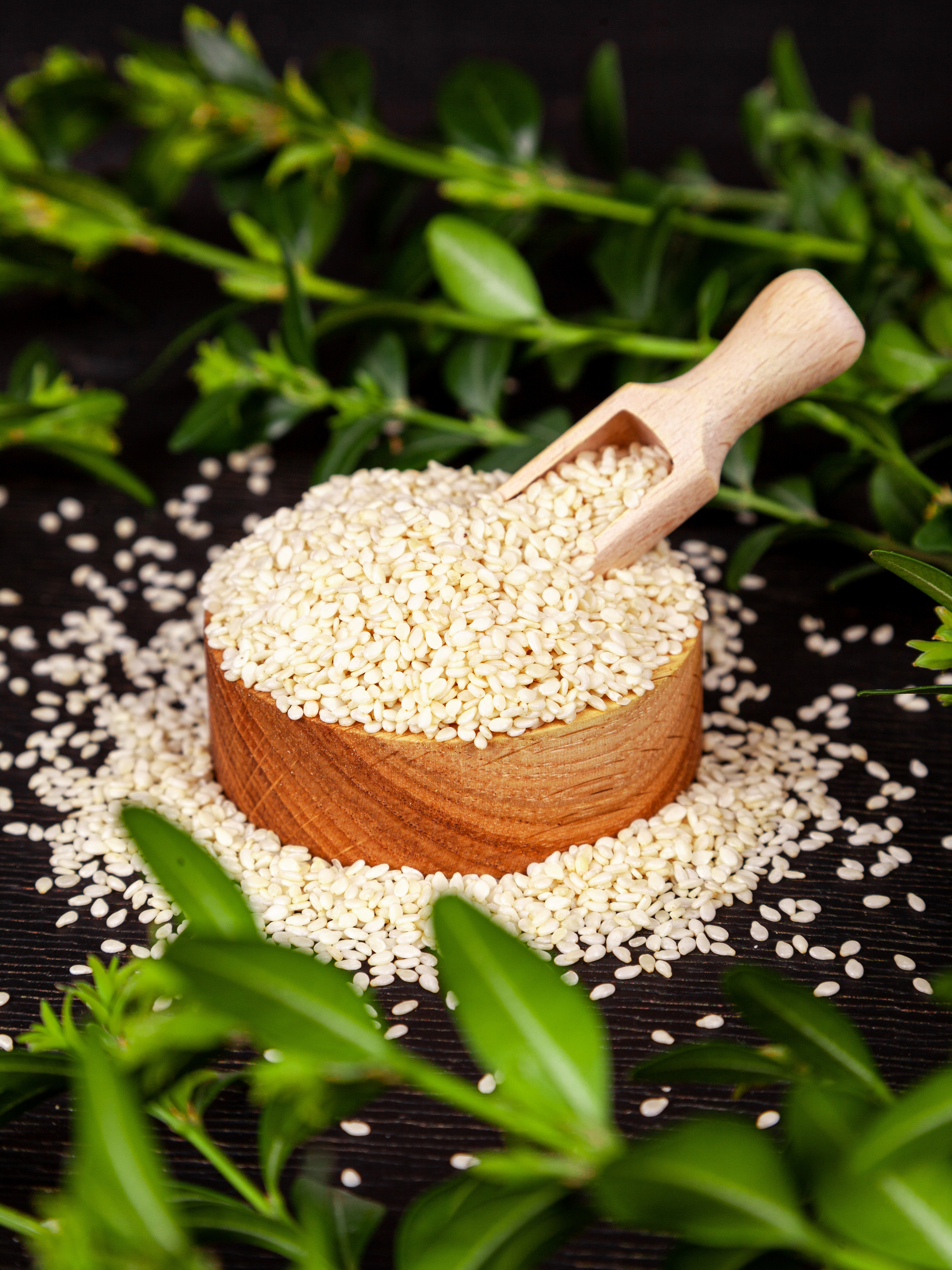 Специи. Студийный Фотограф. Крым. Симферополь