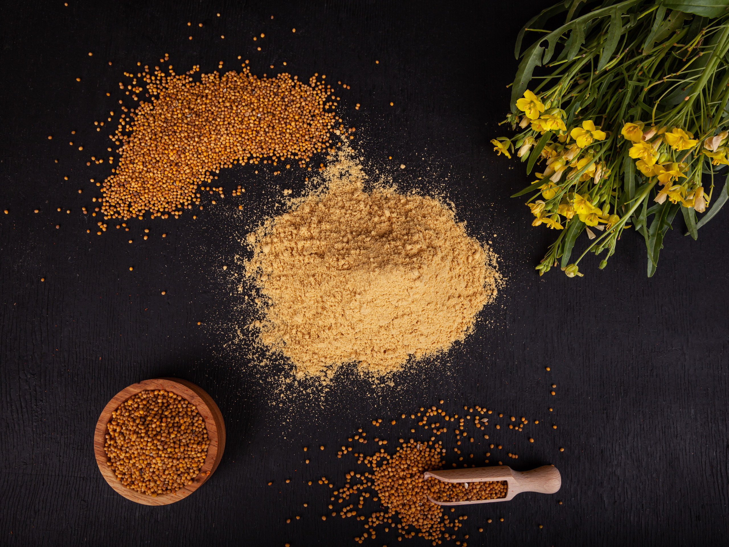 Специи. Студийный Фотограф. Крым. Симферополь