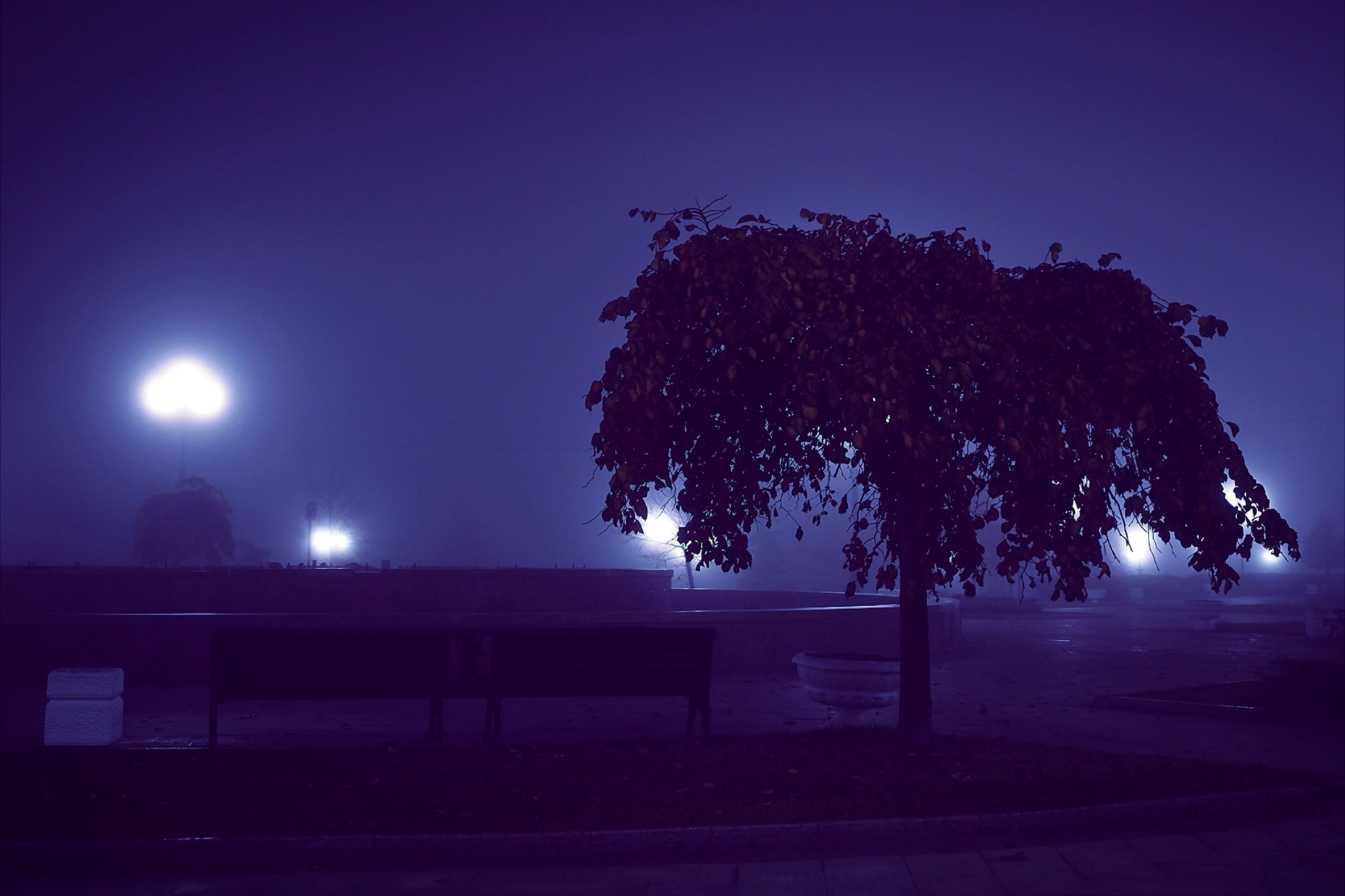 Портфолио. Фотограф в Ярославле Владимир Летуновский