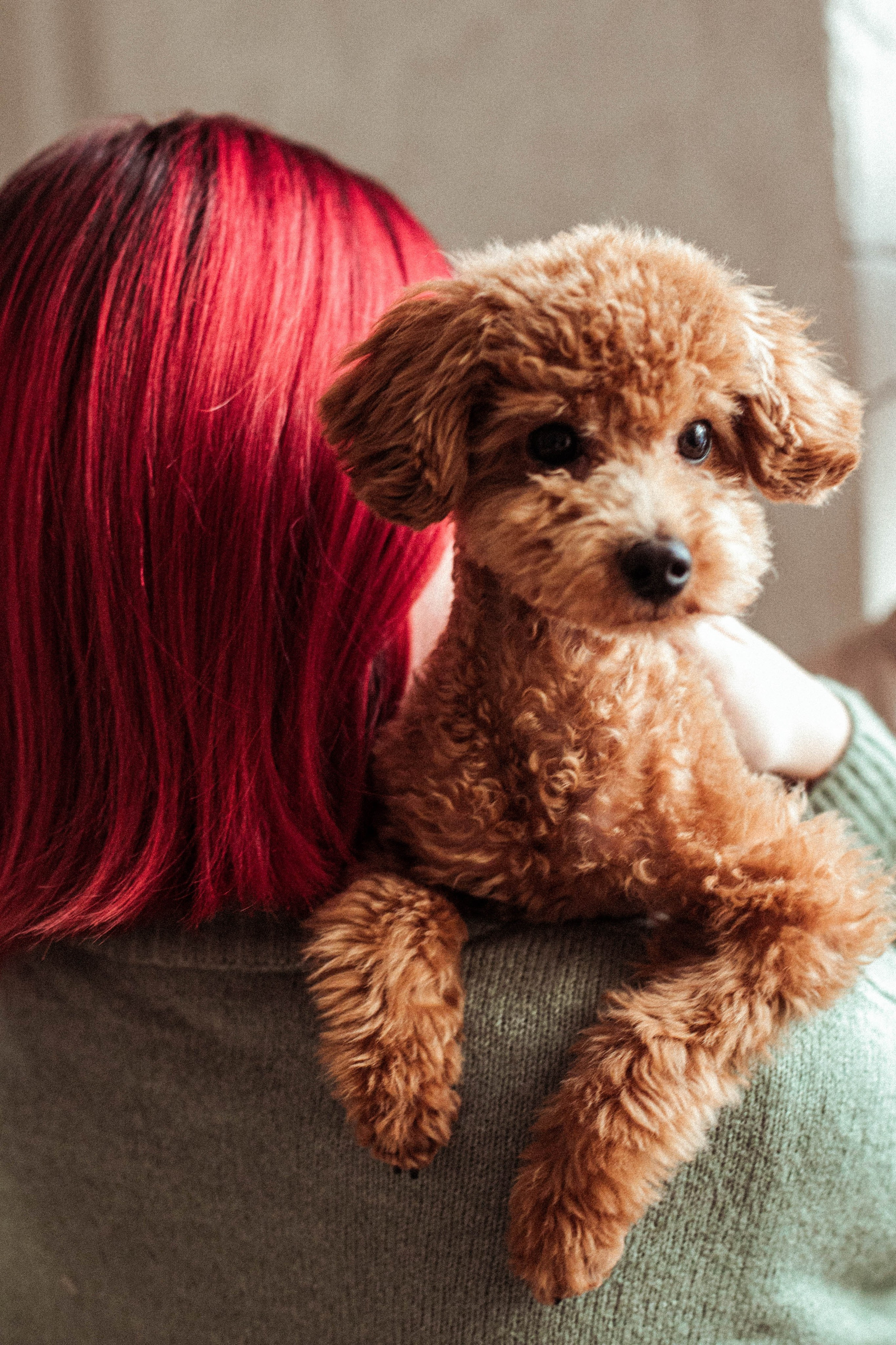 Оля, Саша, Ксюша и Тео. Портретный фотограф Мария Шарко