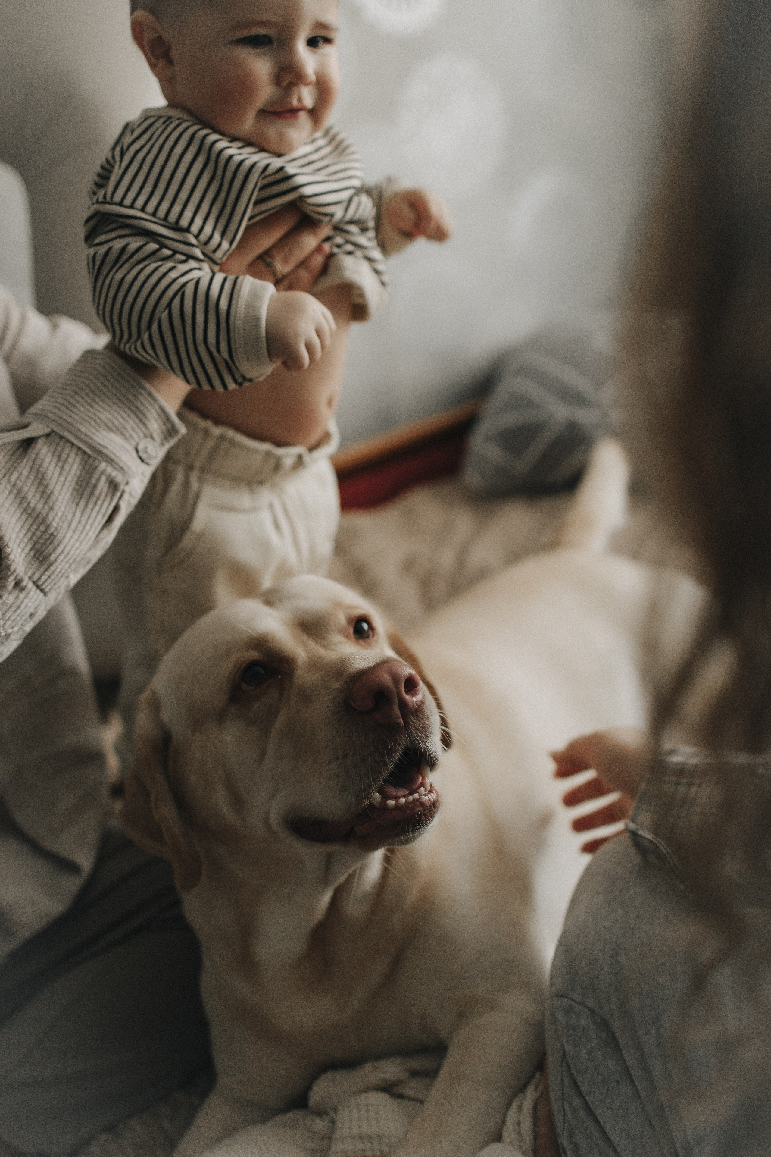 Год счастливых дней с тобой. Семейный фотограф Донецк