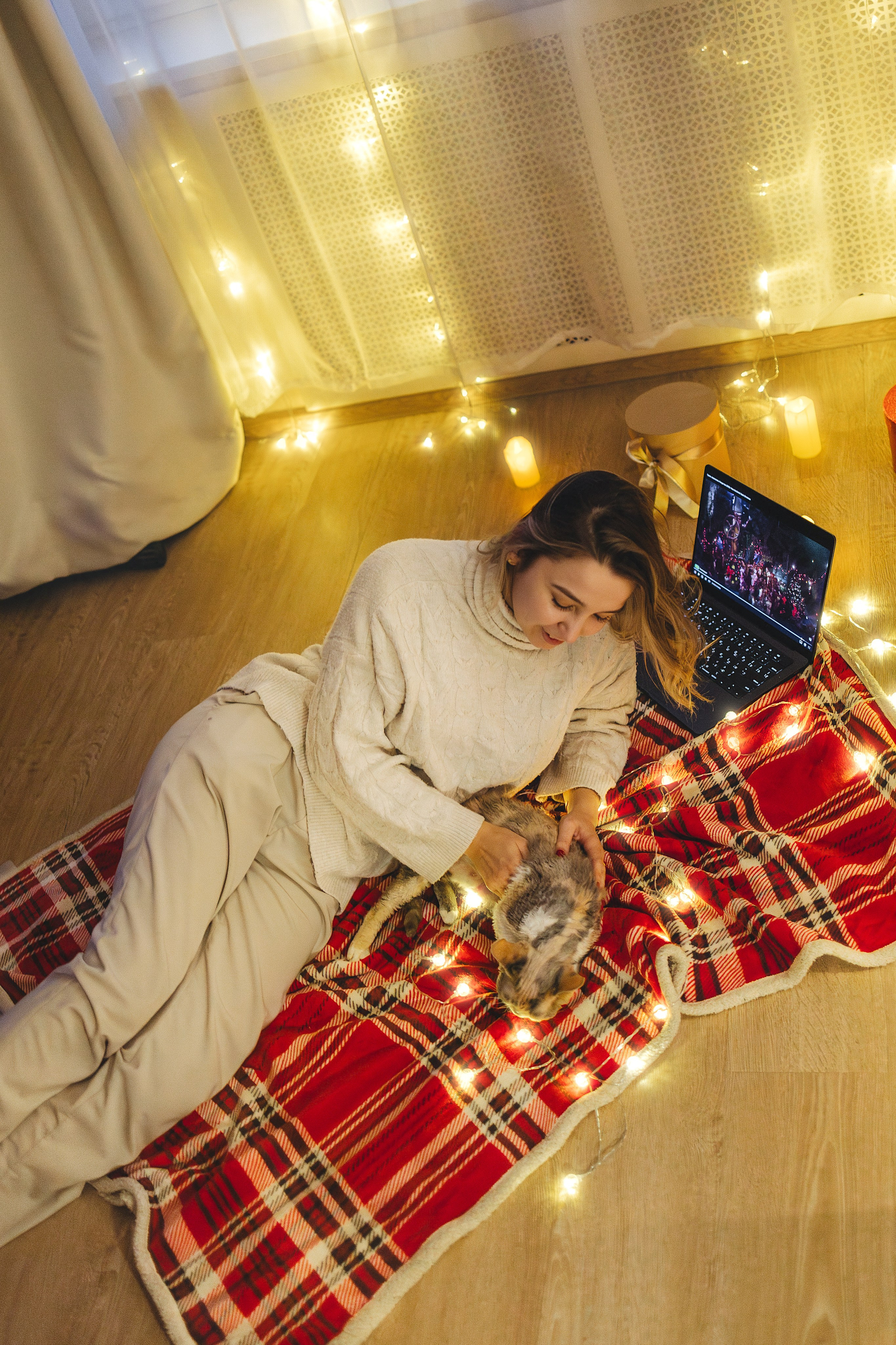 Домашняя новогодняя. Фотограф Анималист в Москве Анастасия Жучкова