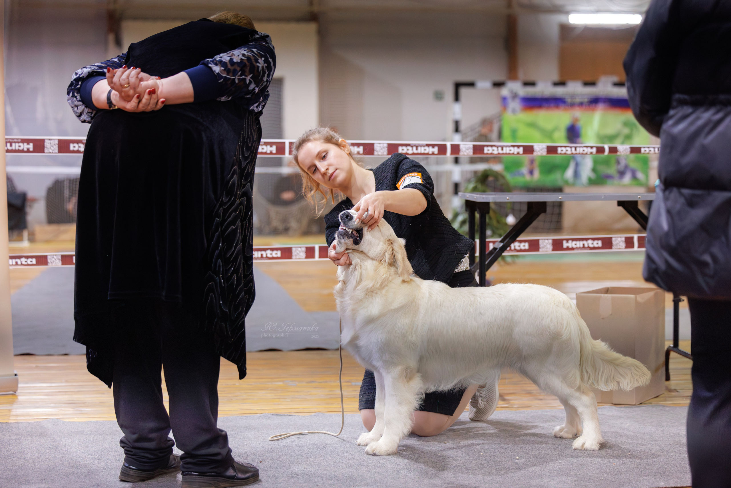 Тверь 21.12.2025. Фотограф-анималист Юлия Германика