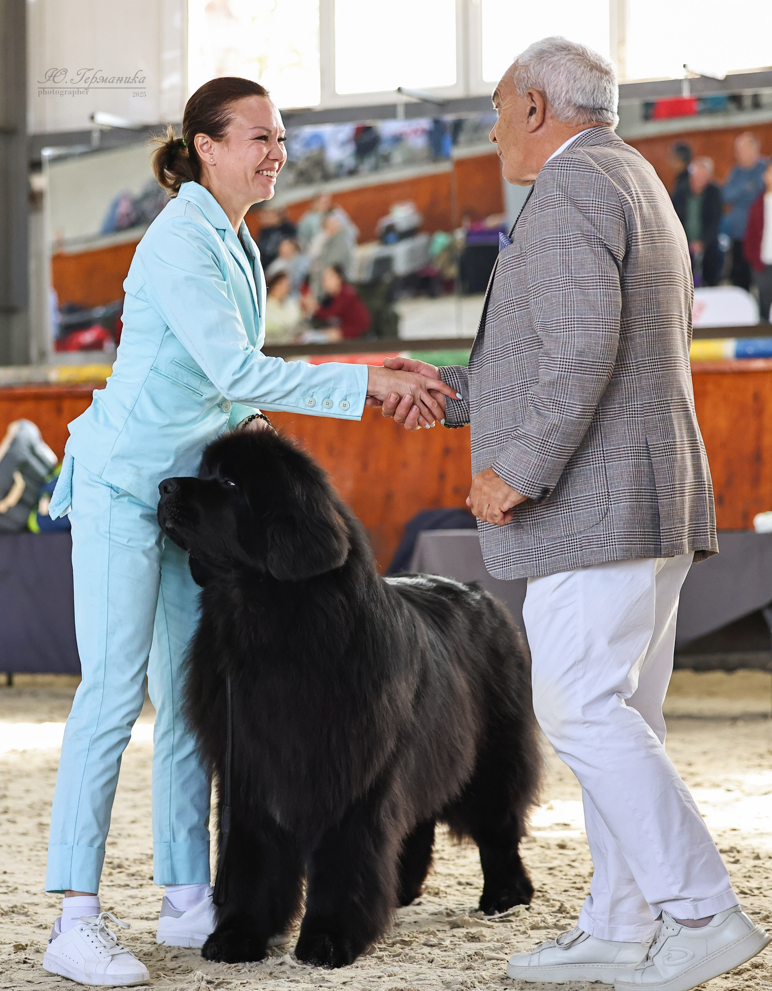 Астана 2хCACIB 26-28.09.2025. Фотограф-анималист Юлия Германика