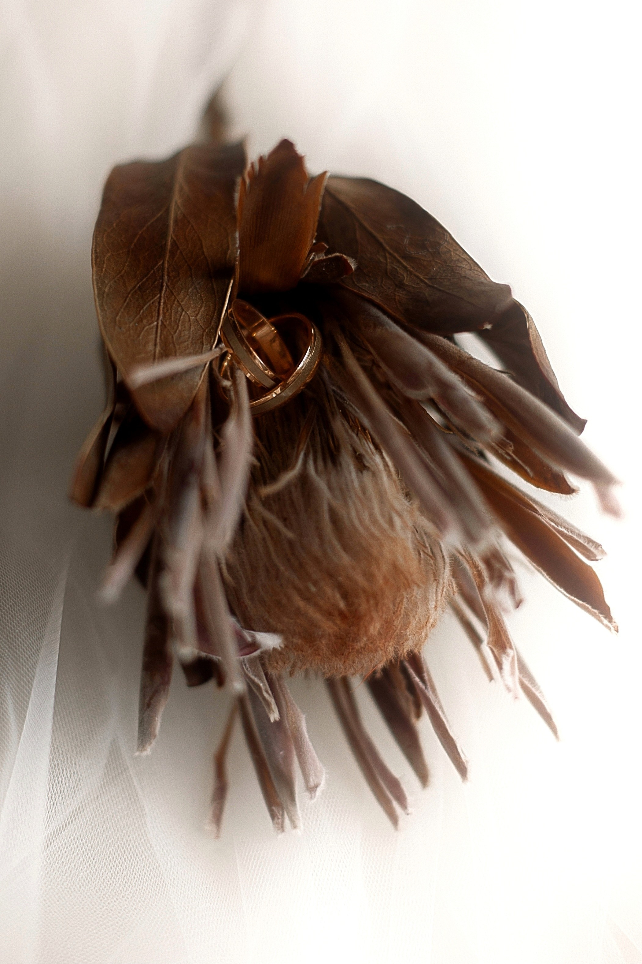 Никита и Оля. Свадебный и портретный фотограф Анастасия Казакова Санкт-Петербург