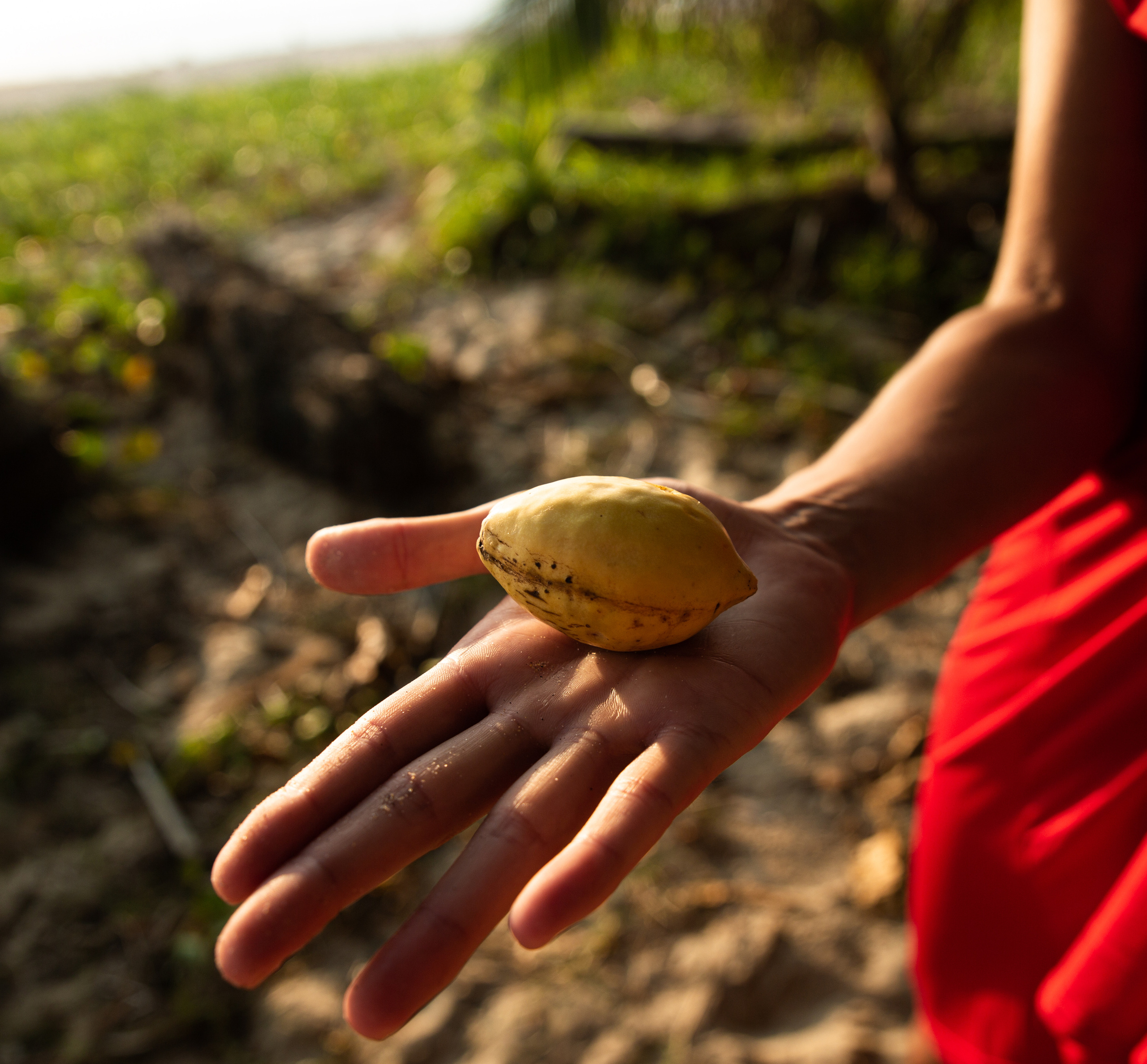 Катерина. Photographer in Maldives