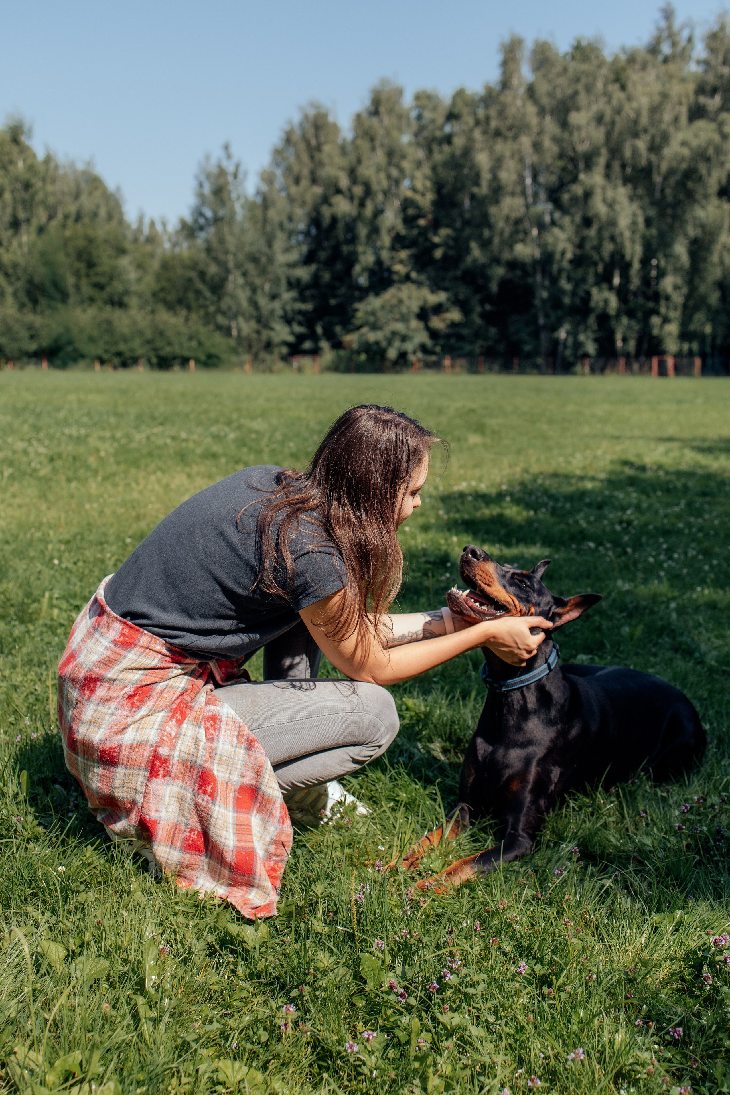 Доберман Айза. Фотограф Анималист в Москве Анастасия Жучкова