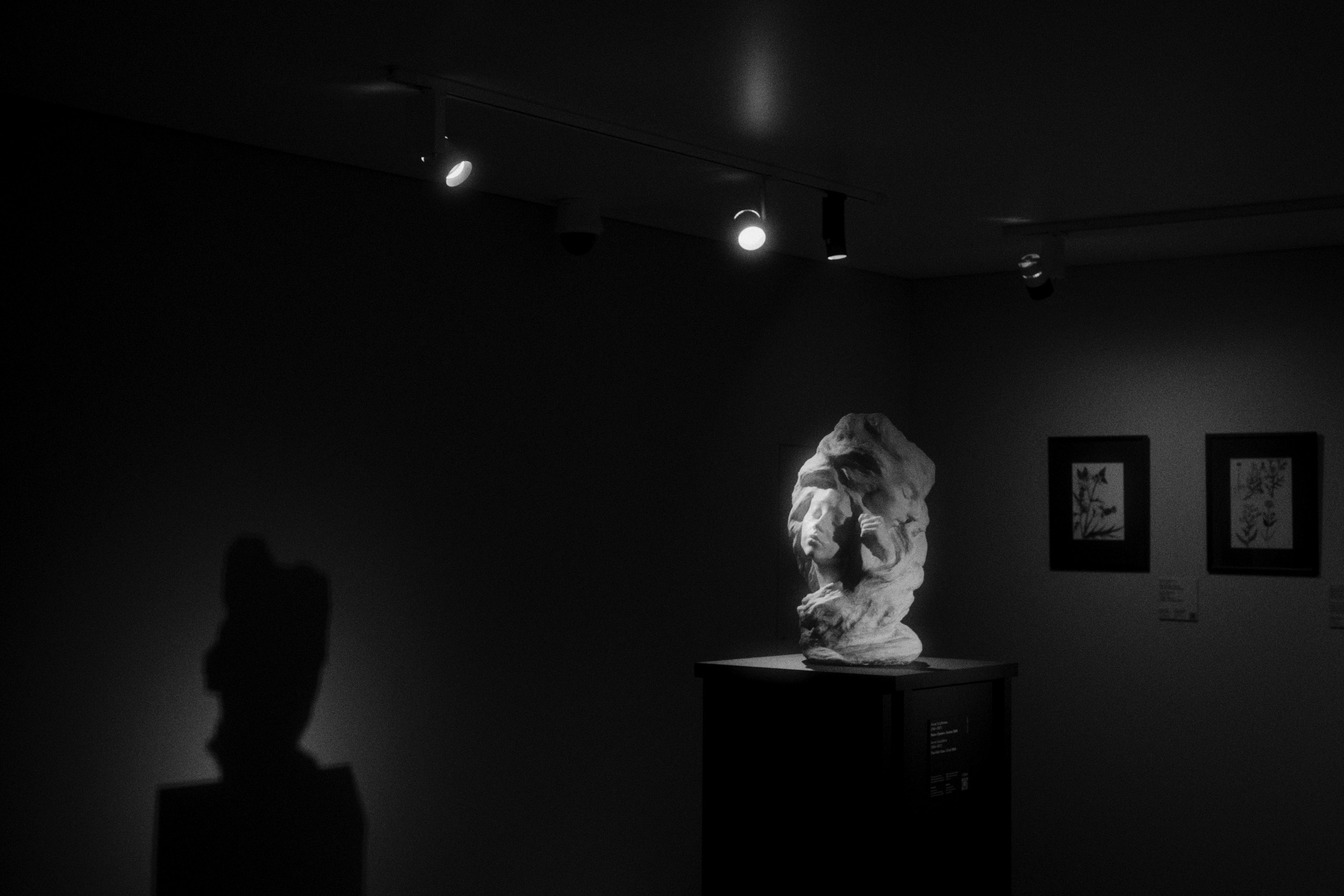 Новая Третьяковка / Из виртуального в реальное. Фотограф Юрин Евгений