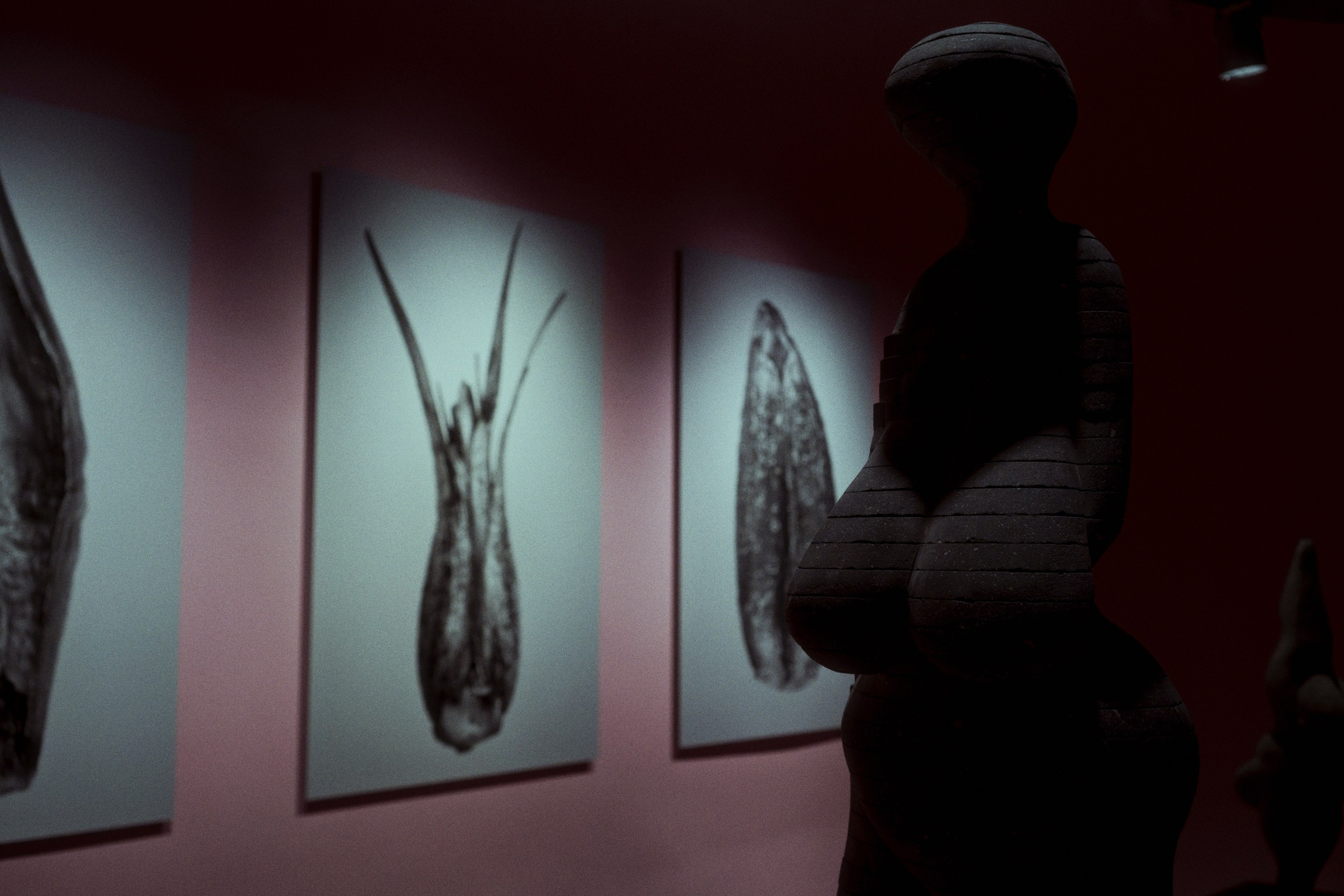 Garage MCA / “Грядущий мир: экология как новая политика. 2030–2100”. Фотограф Юрин Евгений