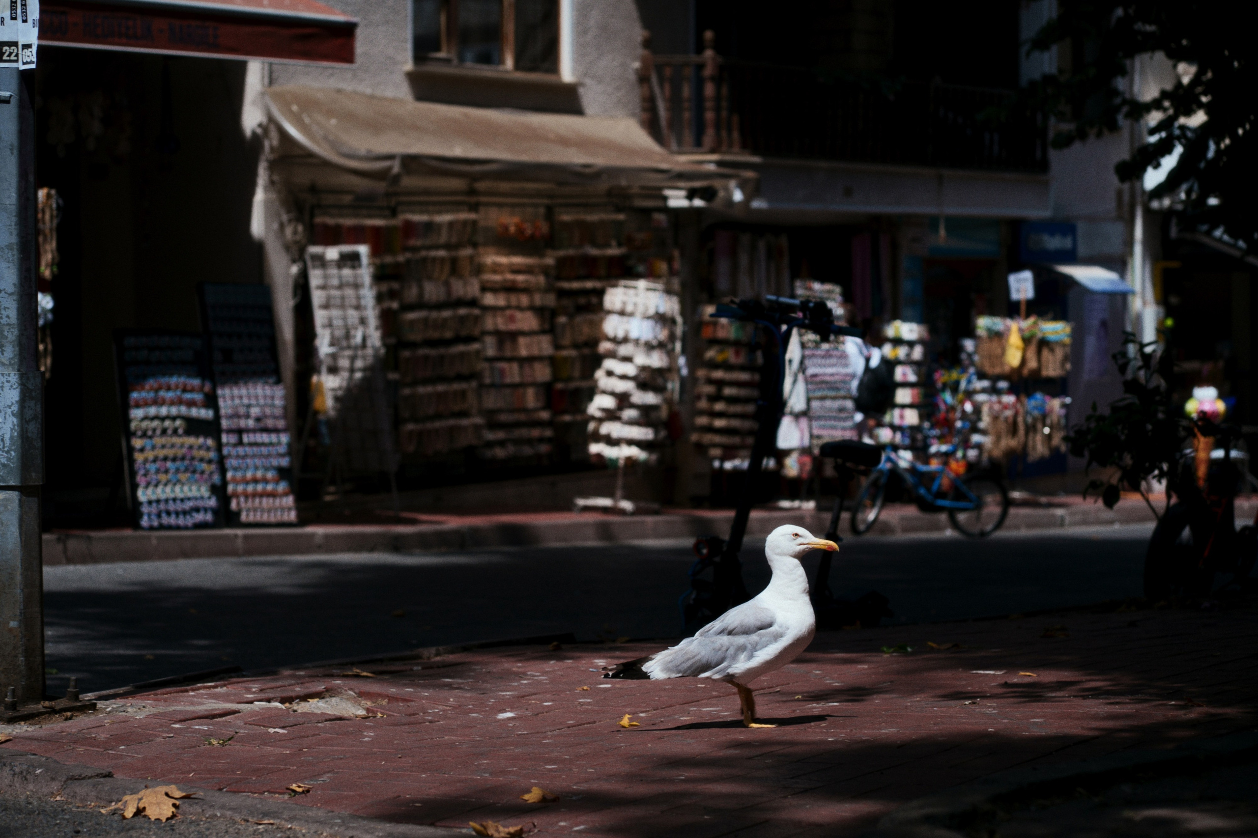 Büyükada х Heybeliada, Istanbul / Türkey SS25. Фотограф Юрин Евгений