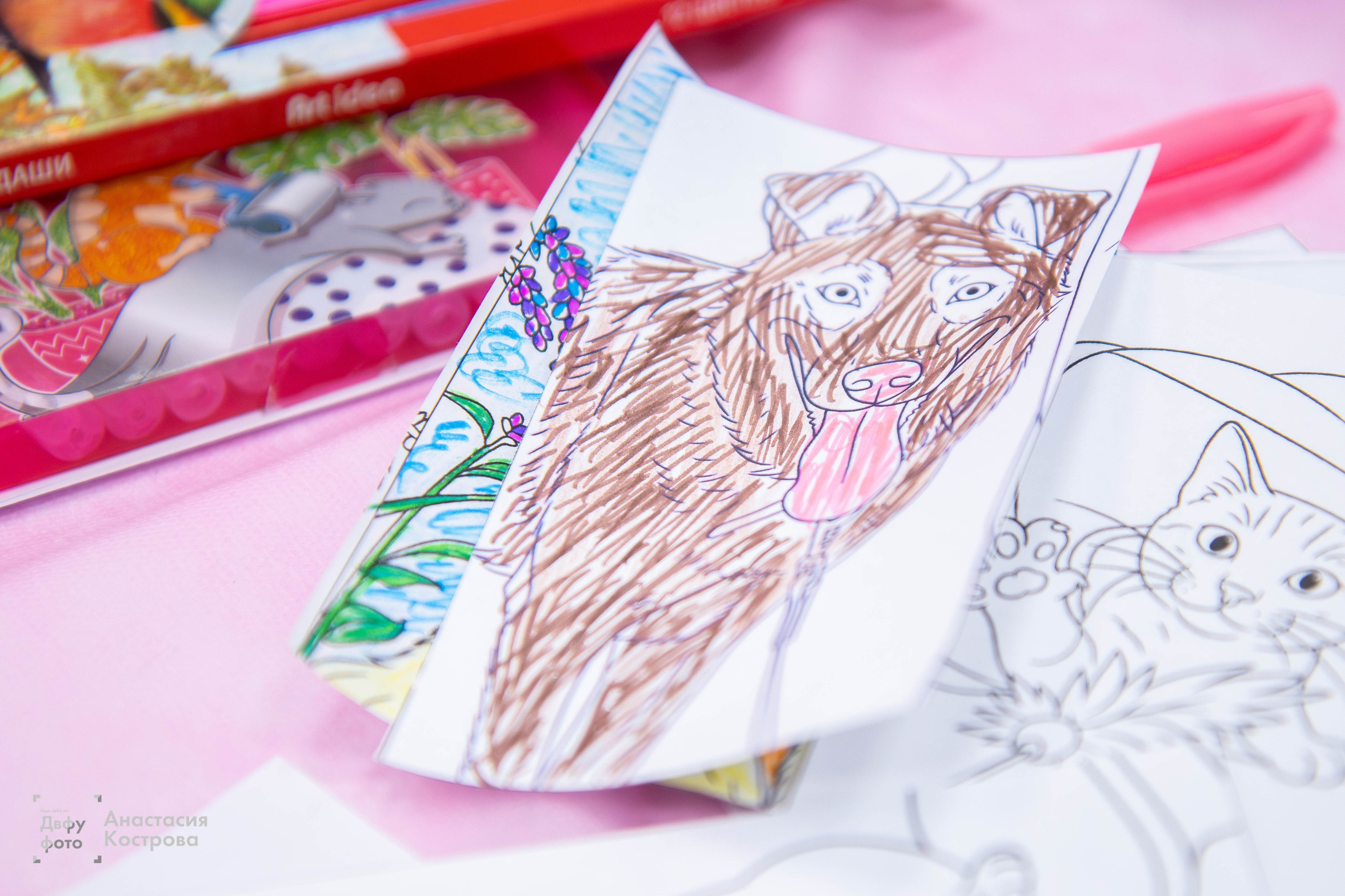 Ярмарка вакансий «Эд.хант». Репортажный фотограф во Владивостоке Анастасия Кострова