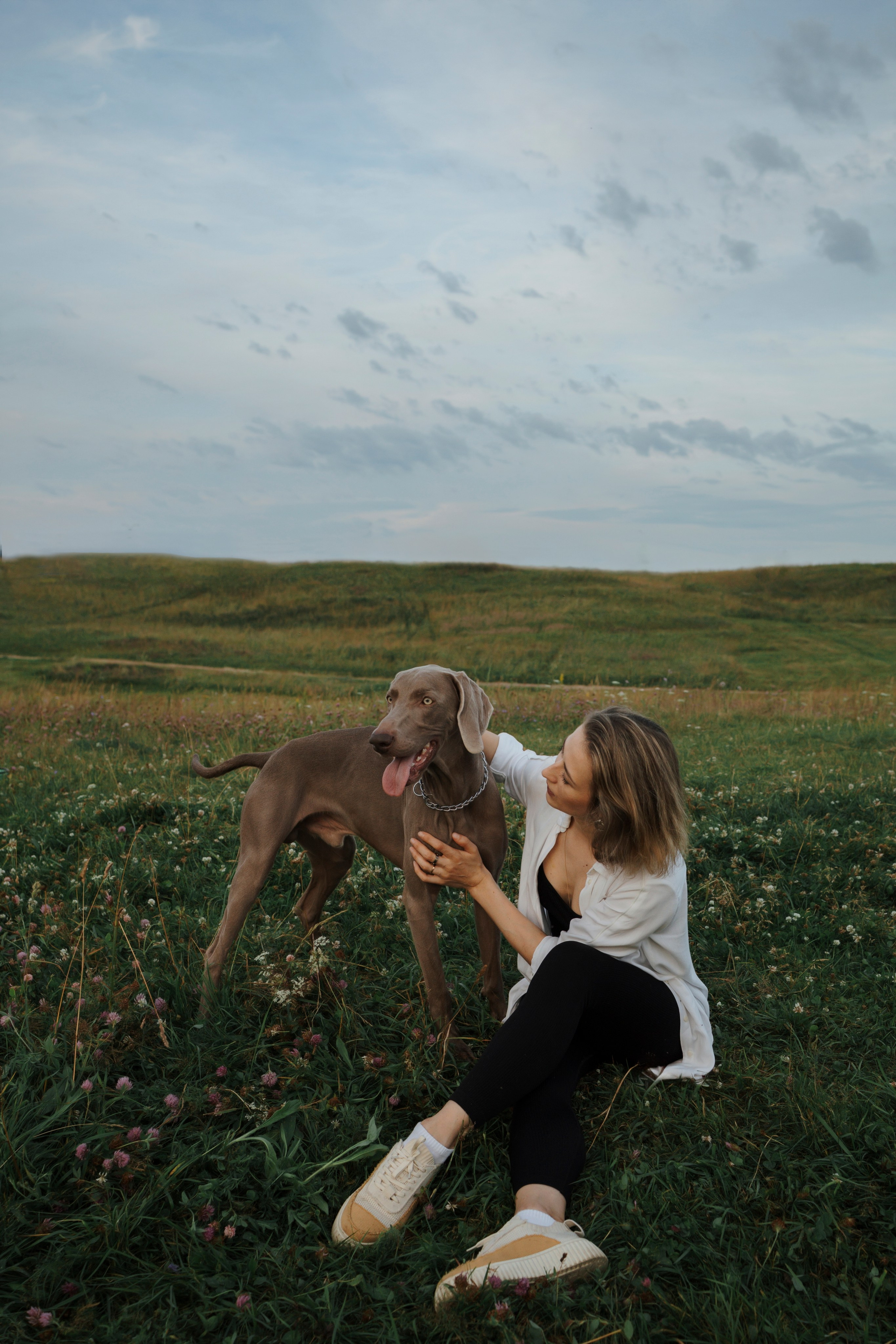 Маргарита и веймаранеры. Фотограф-анималист в Санкт-Петеребурге Титова Алиса