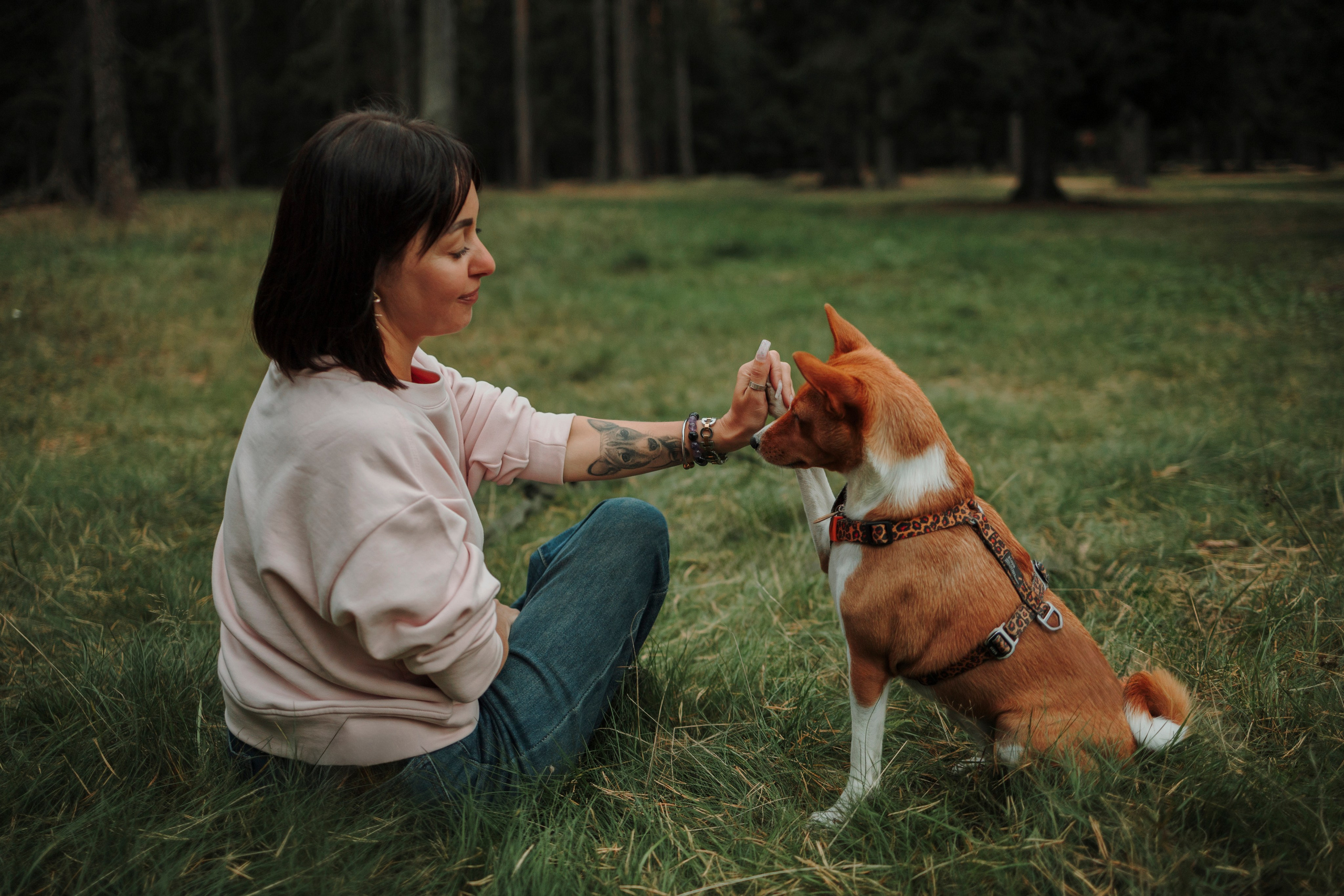 Даша и Лора. Фотограф-анималист в Санкт-Петеребурге Титова Алиса