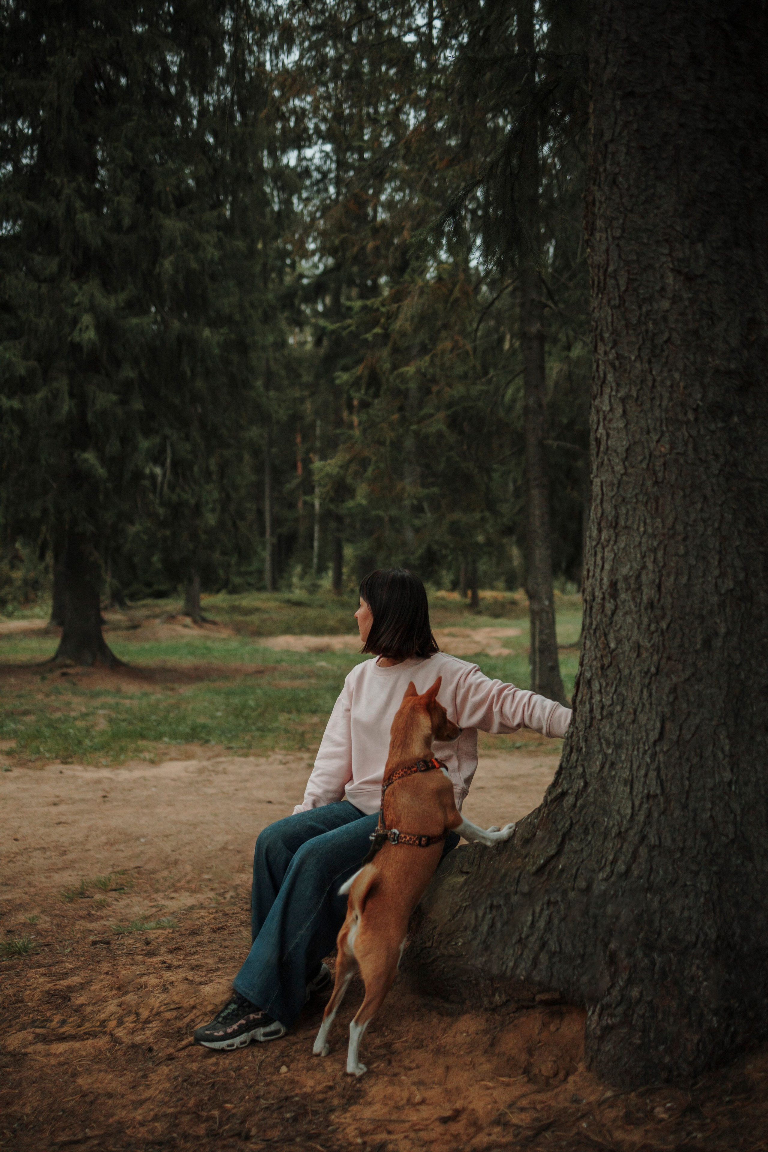 Даша и Лора. Фотограф-анималист в Санкт-Петеребурге Титова Алиса