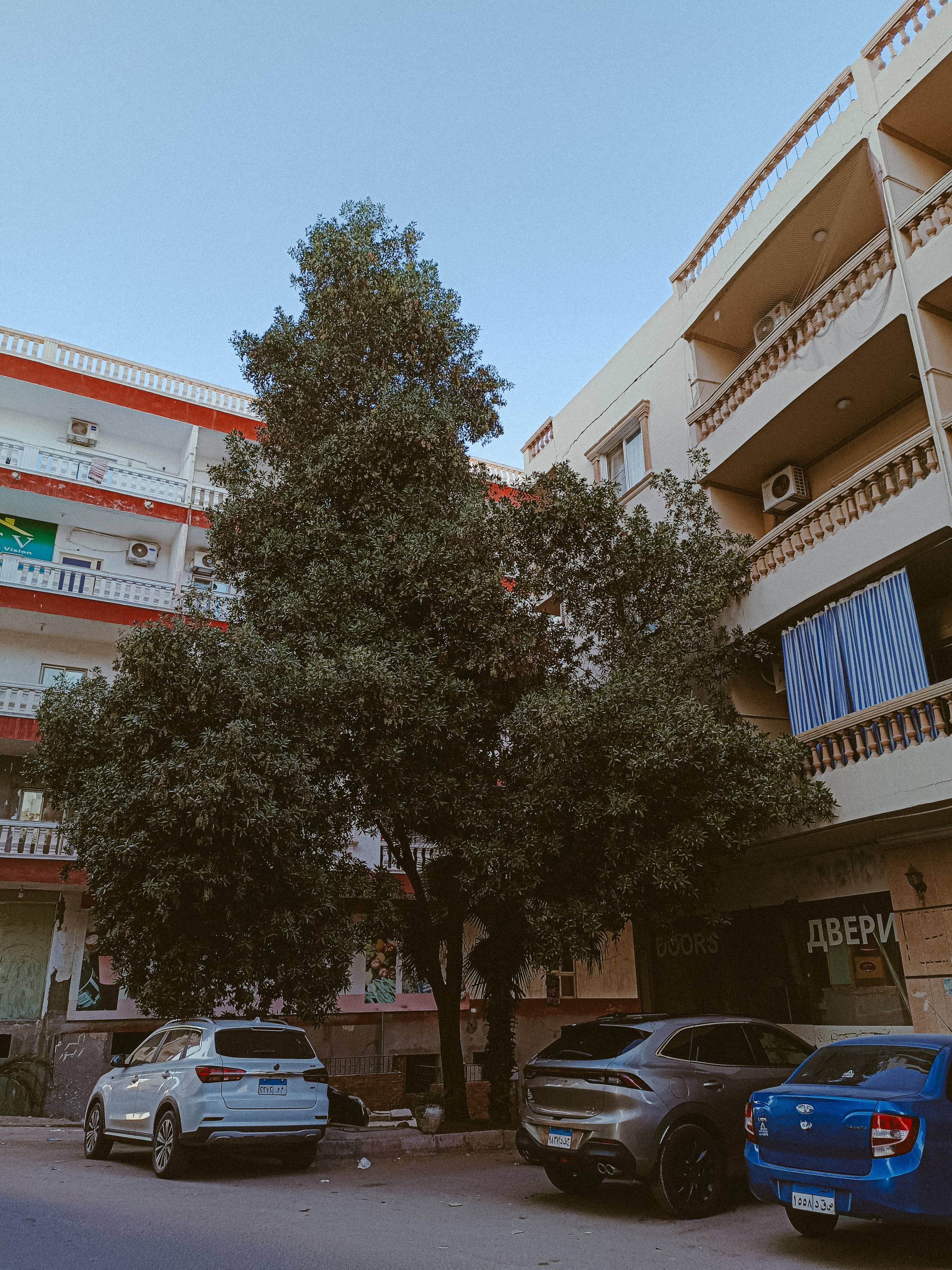 Мобильная. Jorgis — фотограф в Хургаде / обучение фотографии