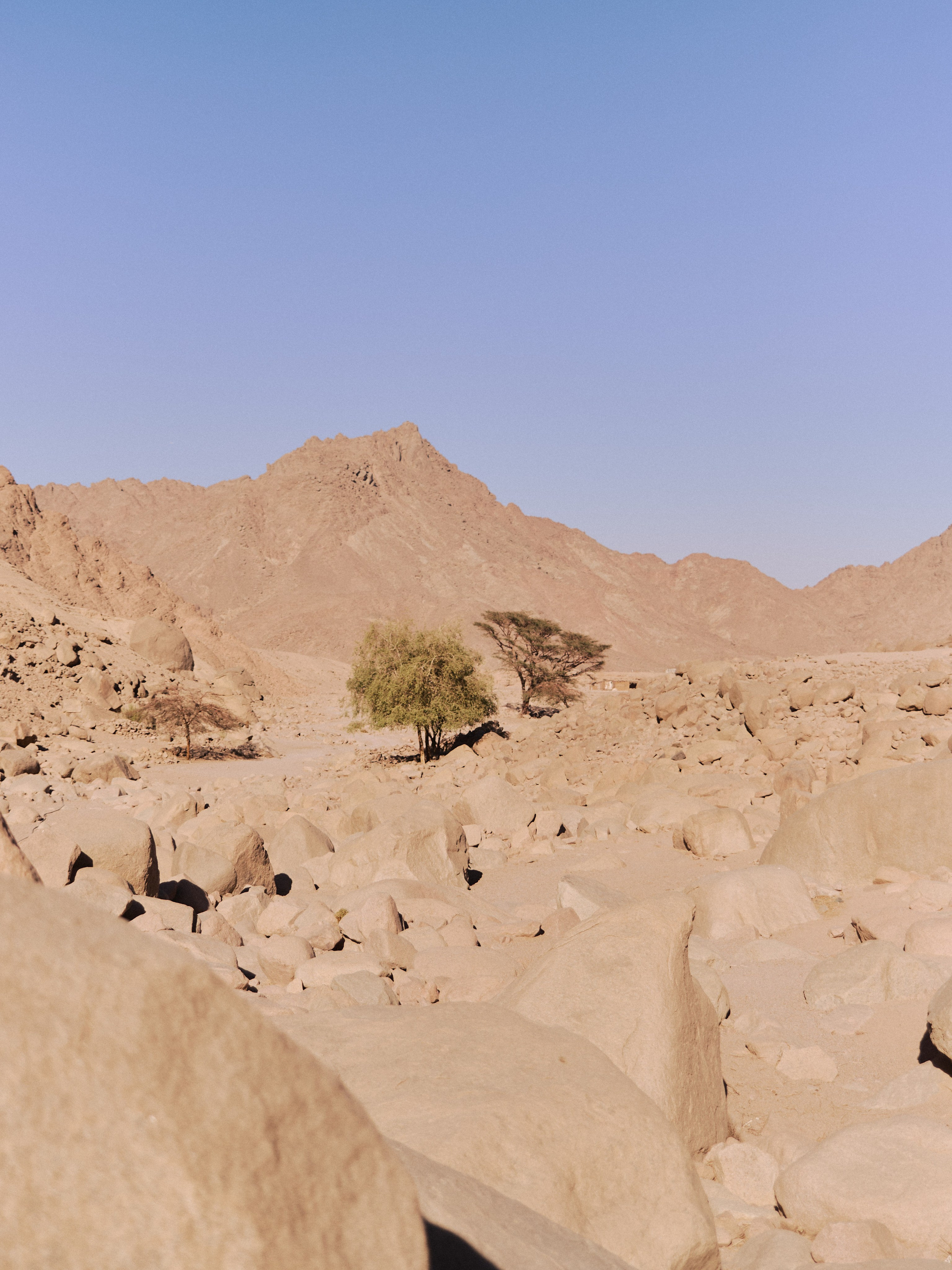 Природа. Jorgis Talè — photographer, kind person, teacher of arts and other mag