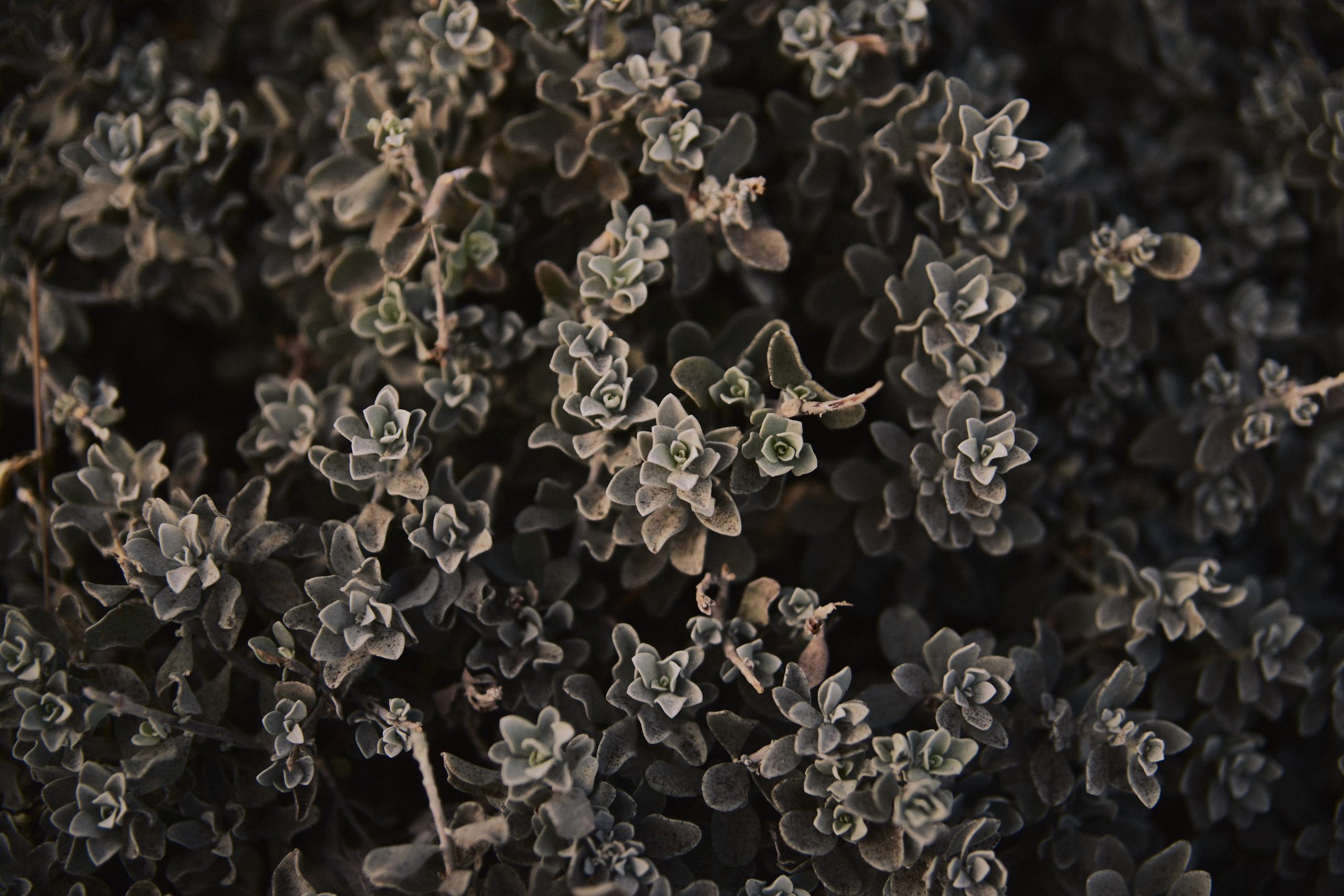 Улица горизонтальная. Jorgis — фотограф в Хургаде / обучение фотографии