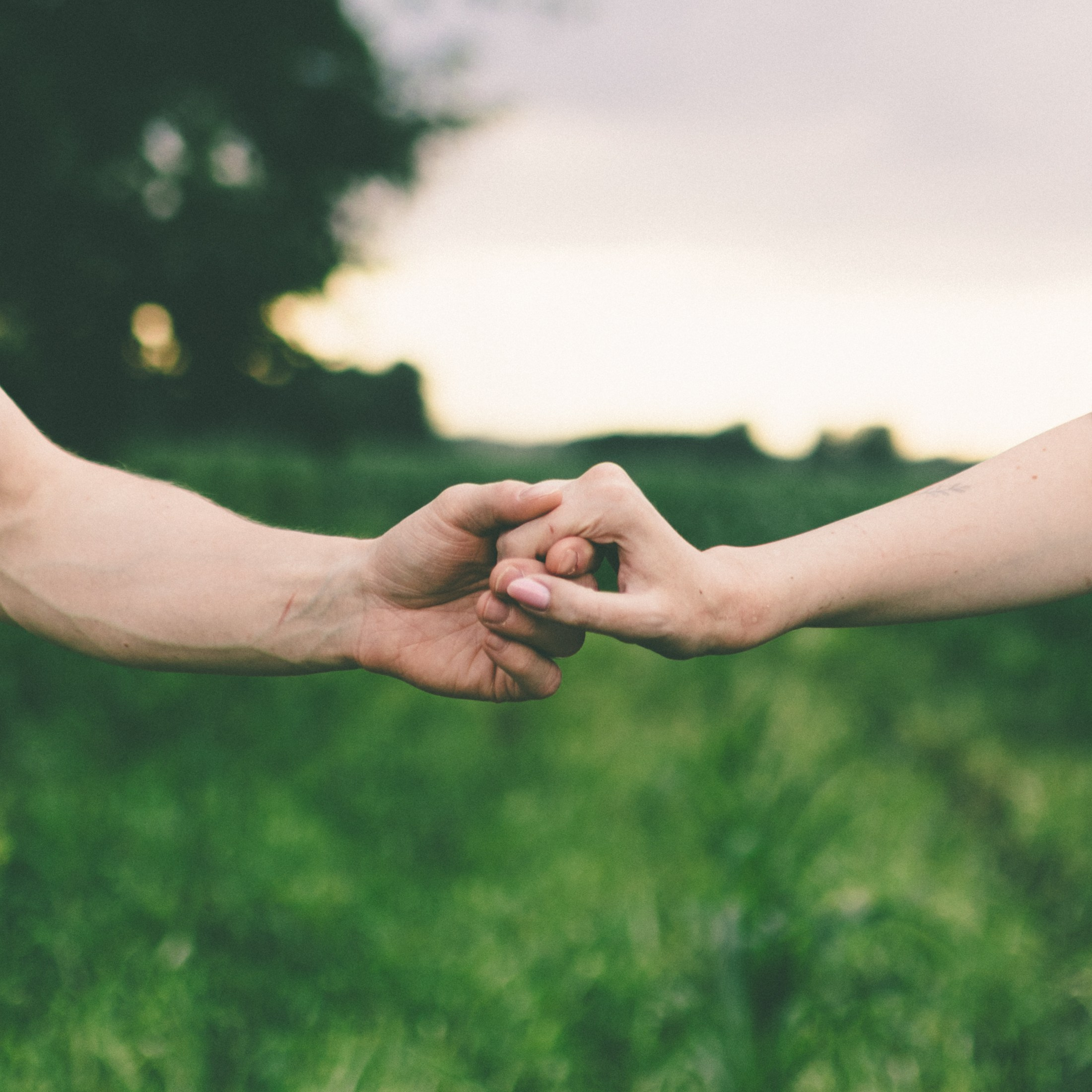 Дарья и Александр. Портретный фотограф в Новосибирске Дарья Герасько
