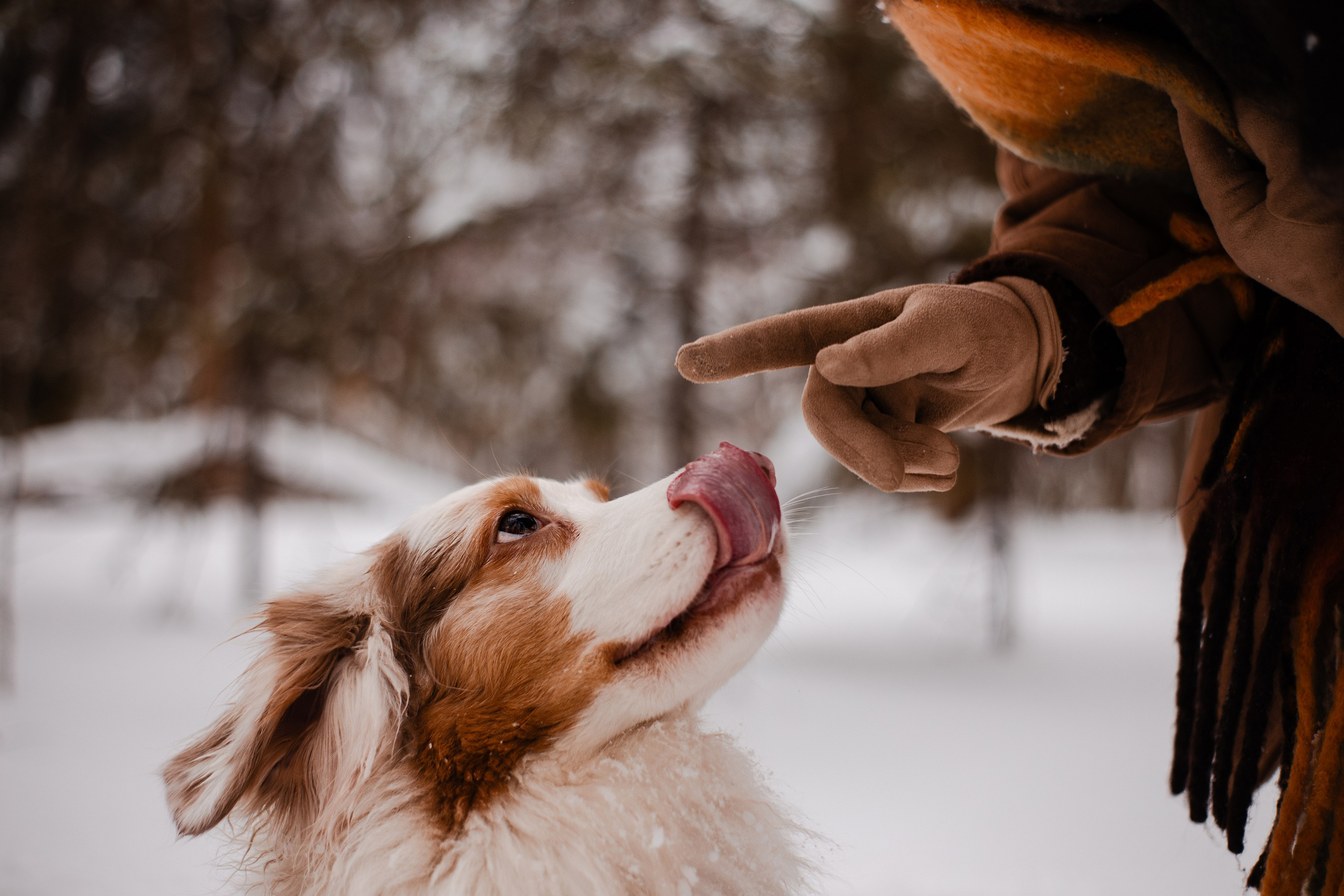 Юля и Ума. Фотограф-анималист Мария Баркевич | Москва