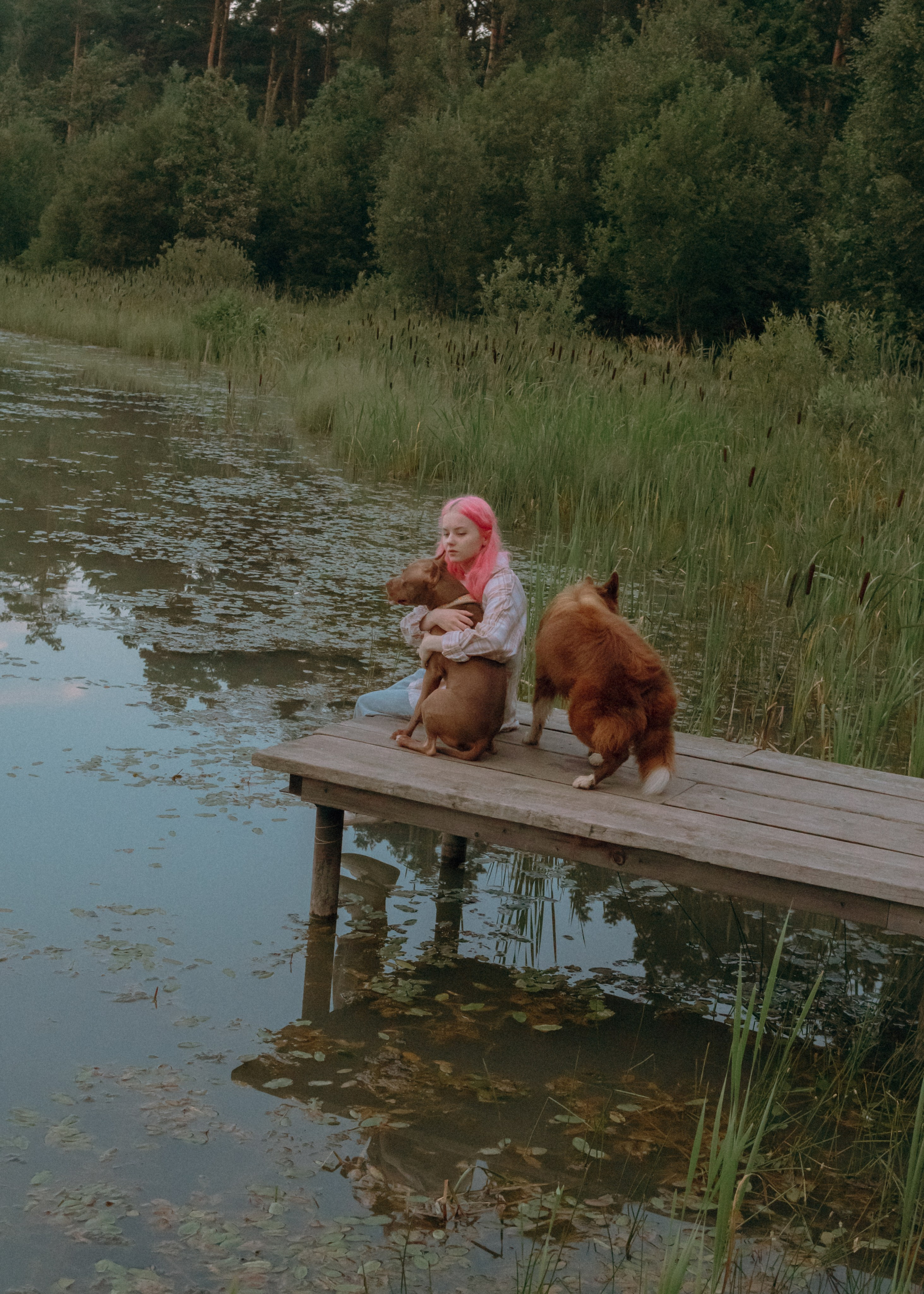Виолетта, Лила и Питер. Фотограф-анималист Ксения Воробьева, Москва