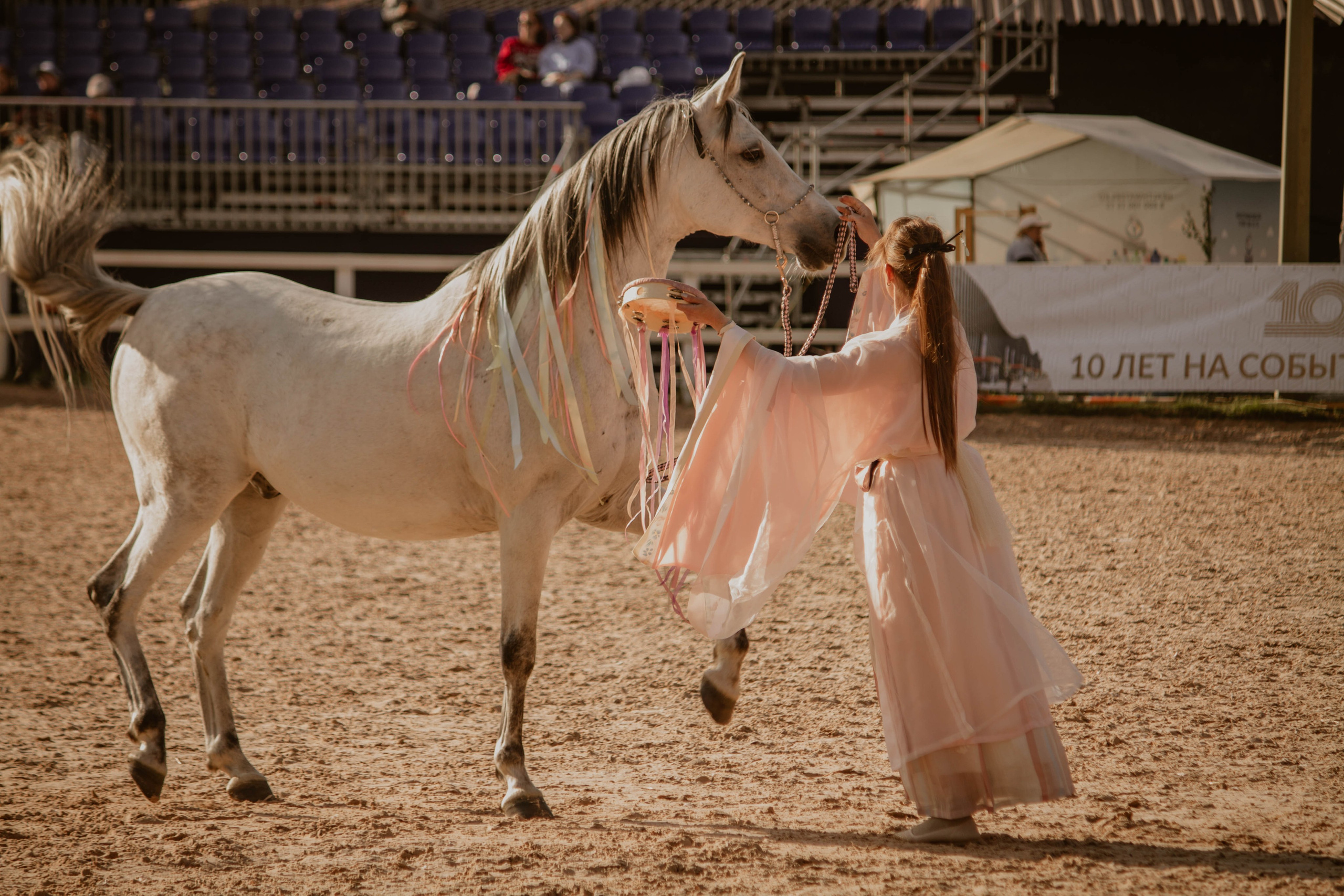 ИППОСФЕРА — Международная конная выставка. Создадим шедевр? Виталина и её фотоискусство