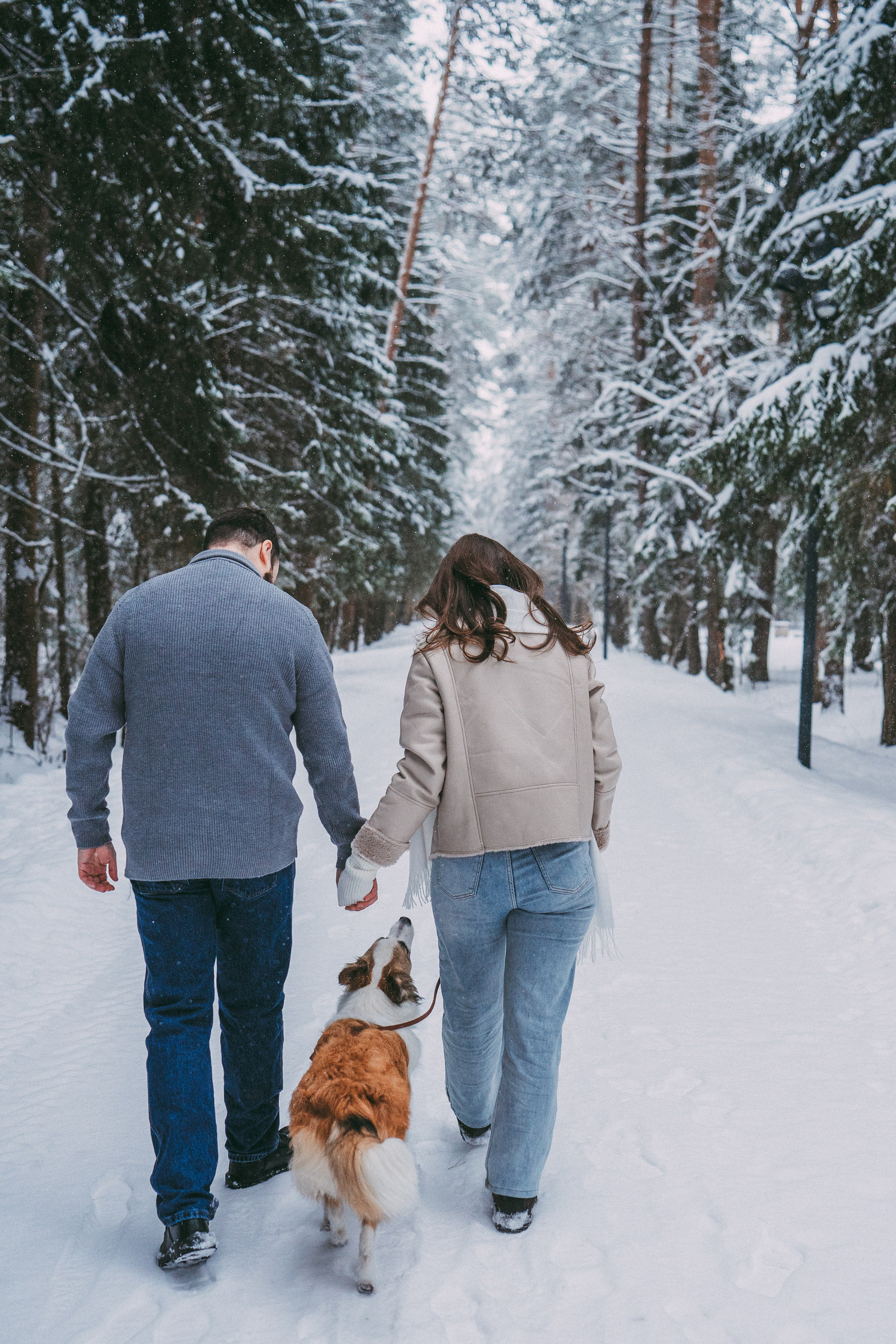 Катя, Анатолий и Елай. Фотограф анималист в Москве и Санкт-Петербурге Свиридова Анна