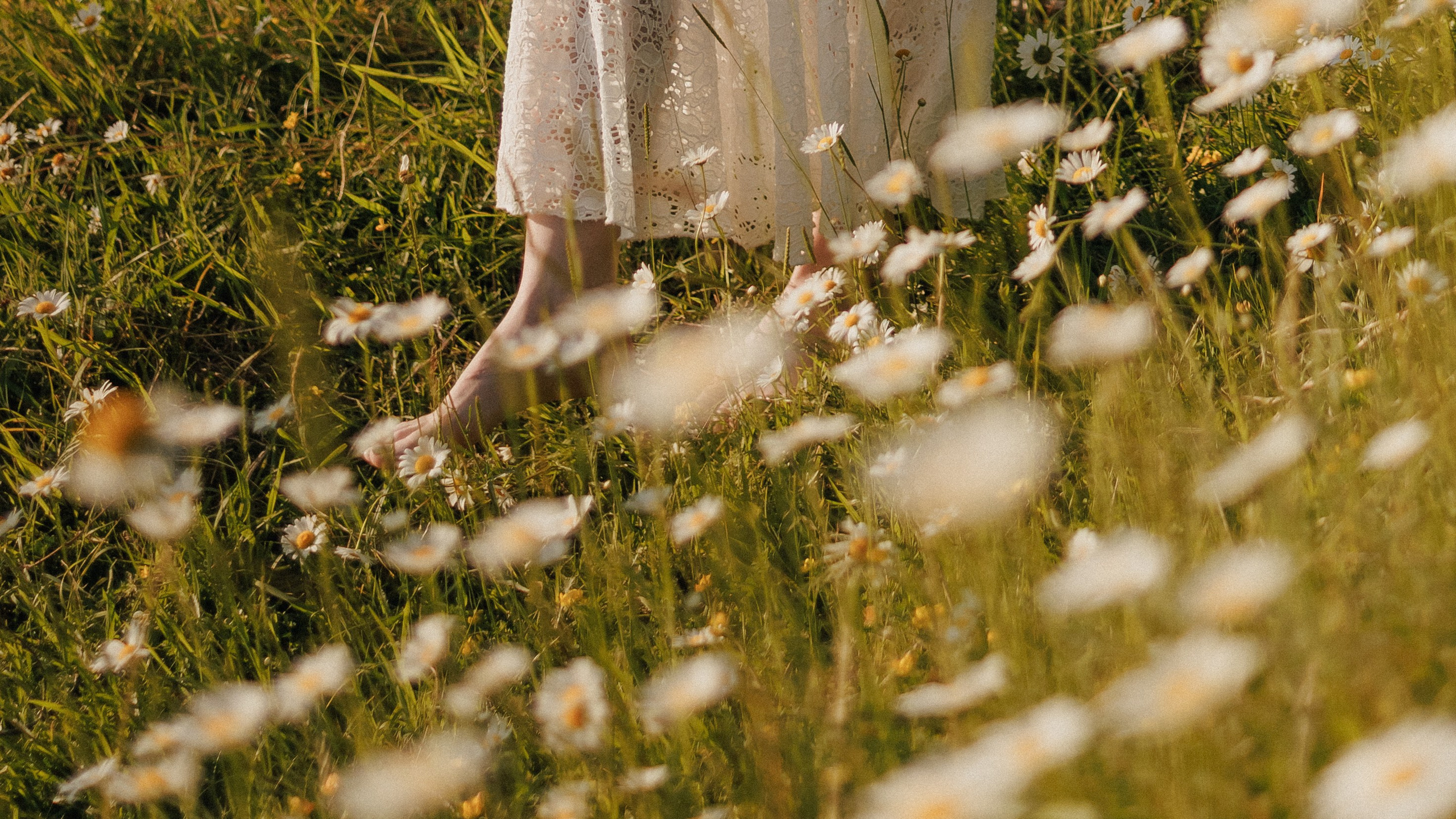 Привет, ромашки…. Свадебный, репортажный и портретный фотограф Сочи, Краснодар. Александра Зайцева