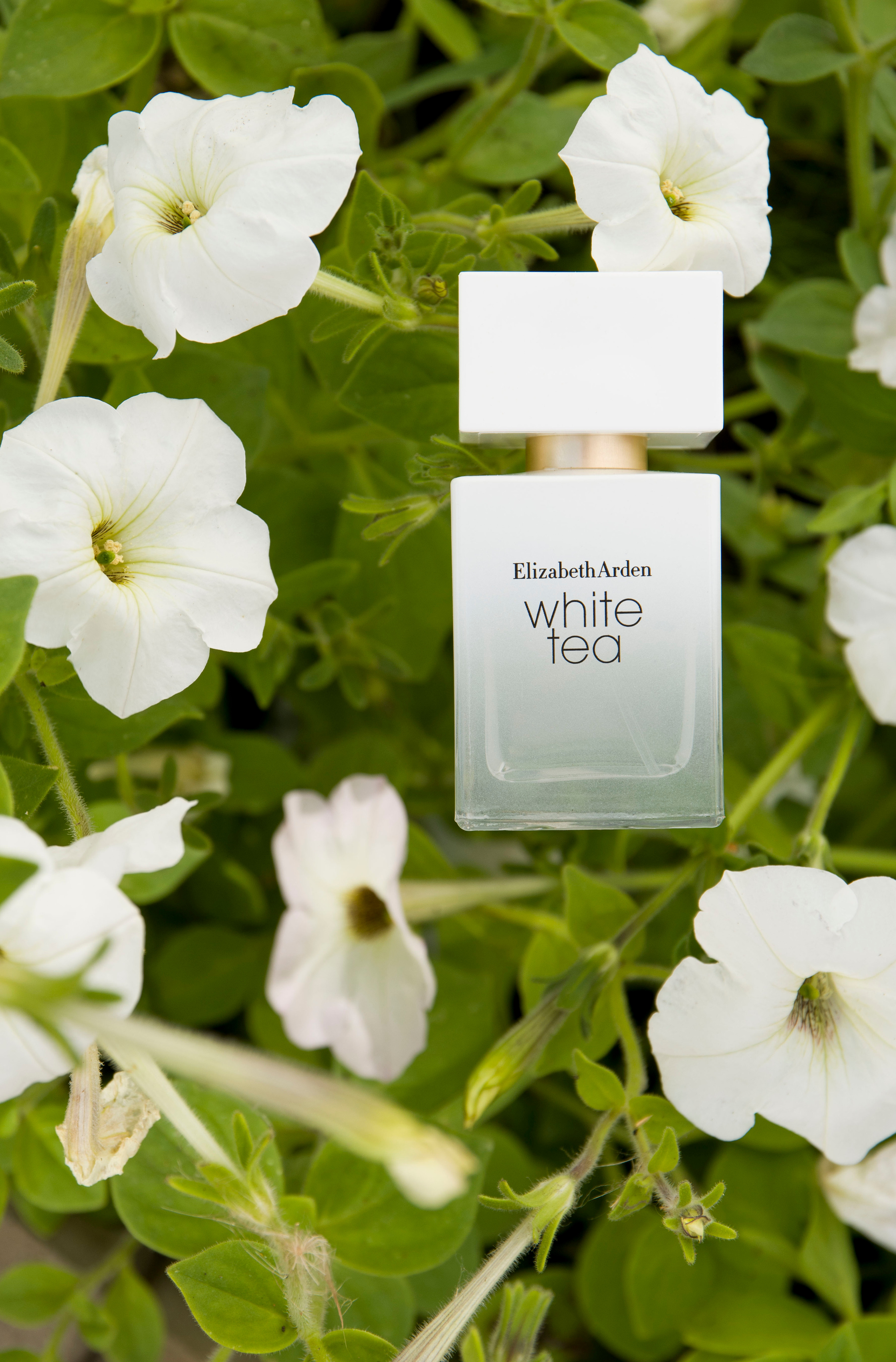 Perfume. Предметный и портретный фотограф Конорев Роман | Санкт-Петербург