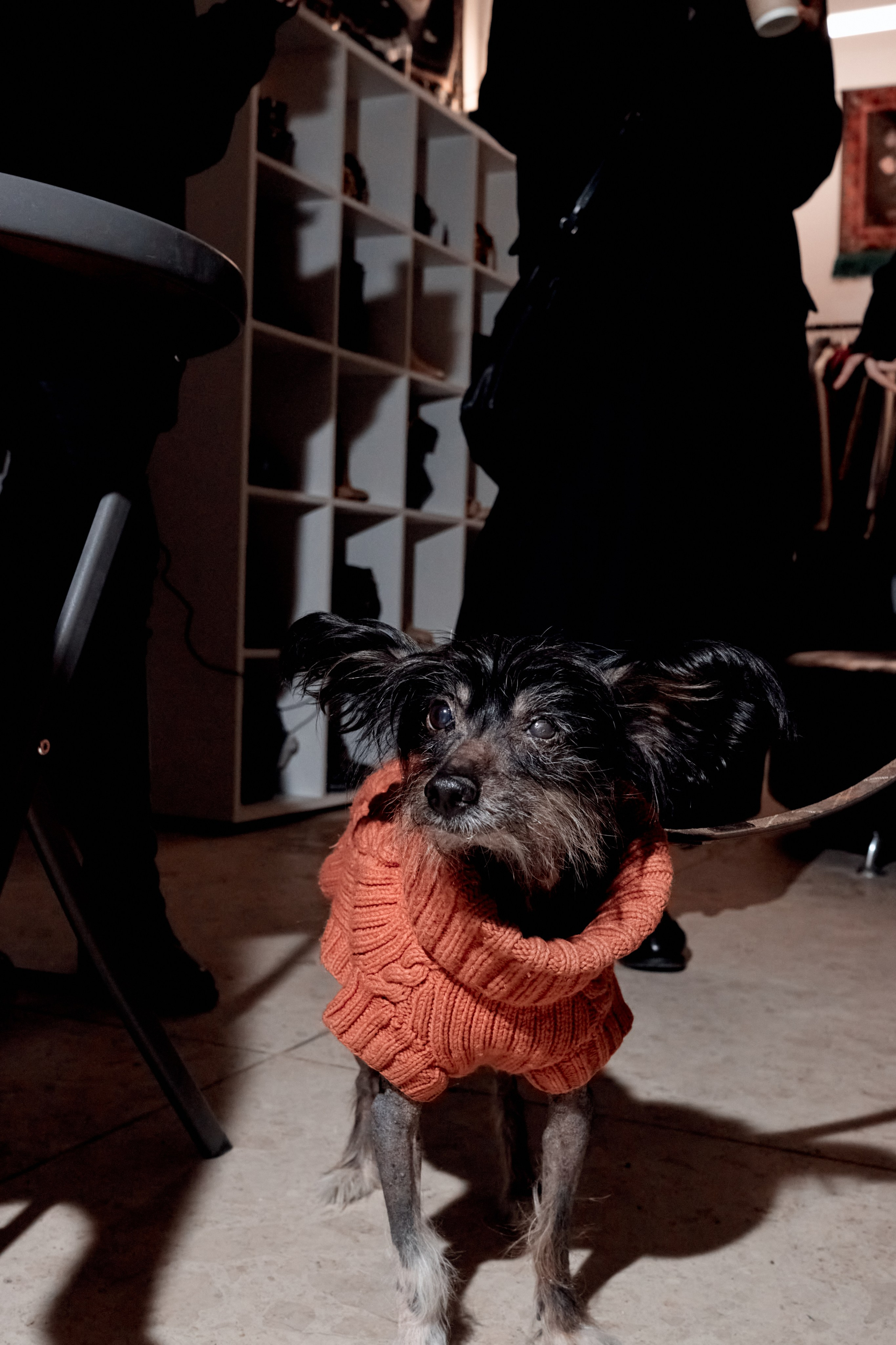 Наталья Пивко | Супершоп Пиф Паф. Фотограф Михаил Николаев