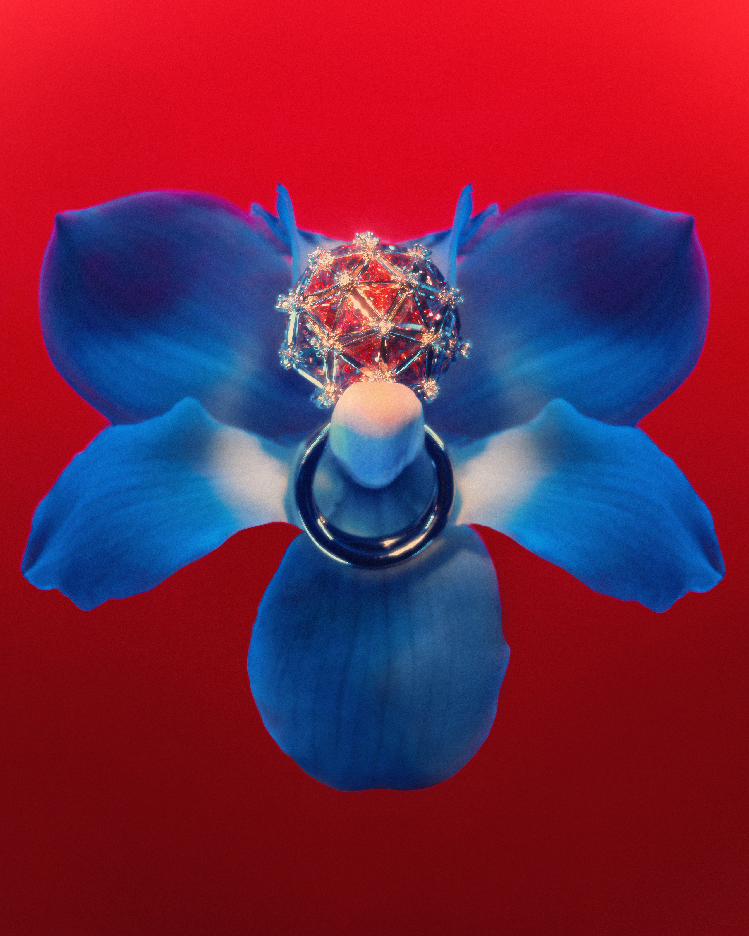 Art project flowers&jewelers. Nadezhda Diskant is a Moscow and Saint Petersburg based photographer