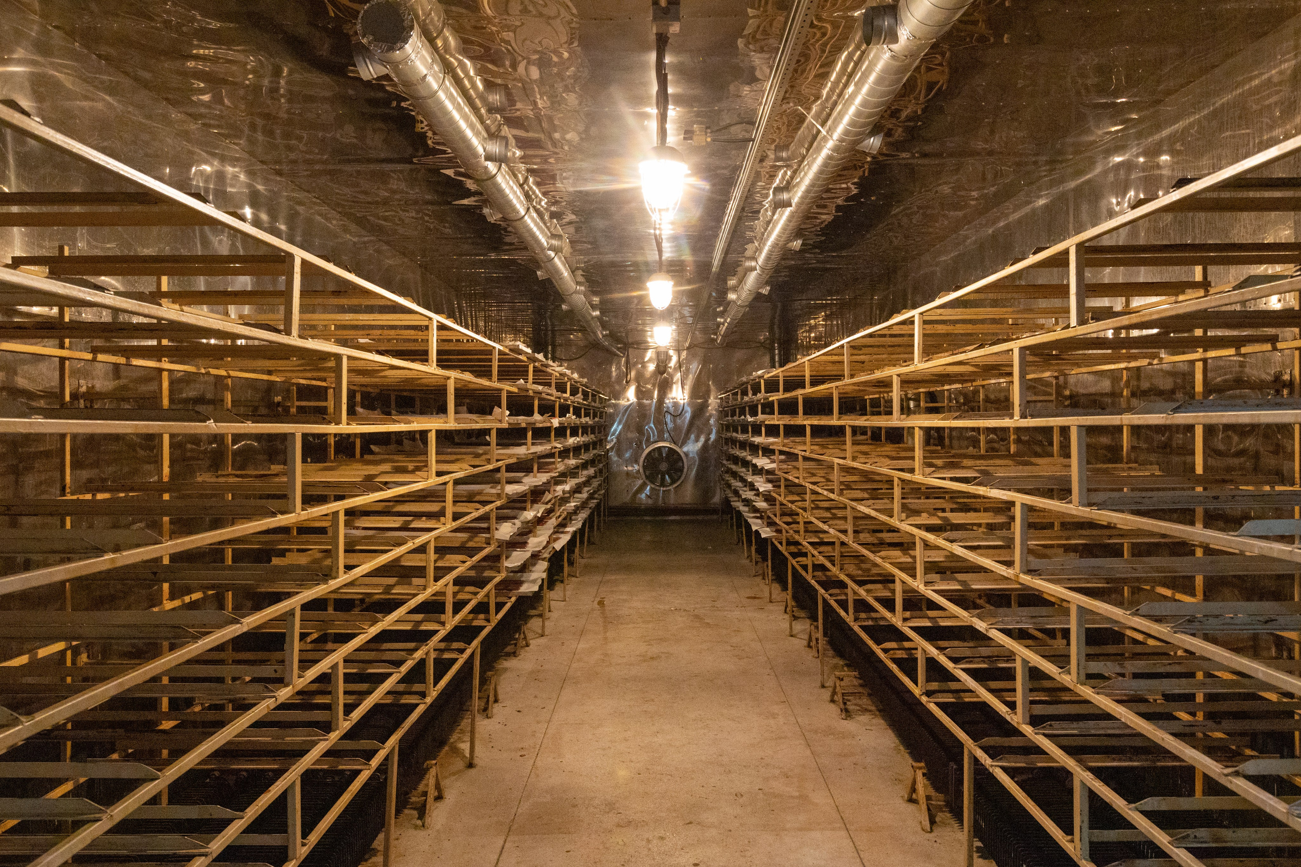 Поездка в Белев и на производство пастилы. Фотограф в Туле Крупский АнДРей. Фотостудия «КАДР71» в Туле