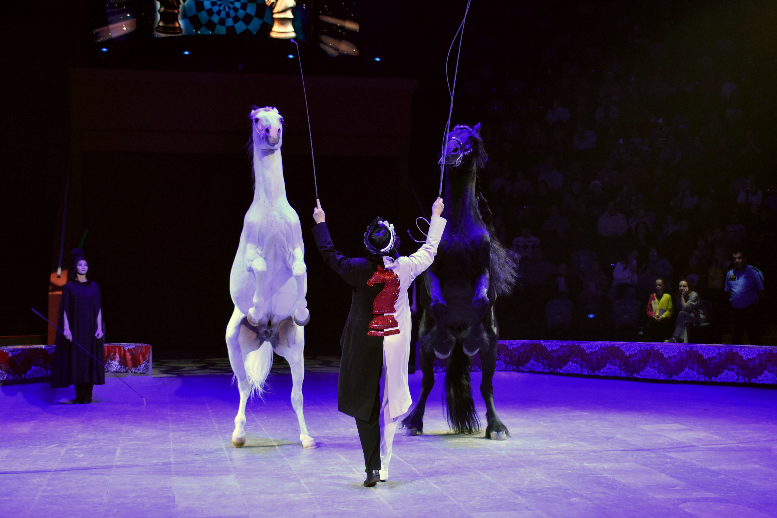 Репортажный фотограф Казань