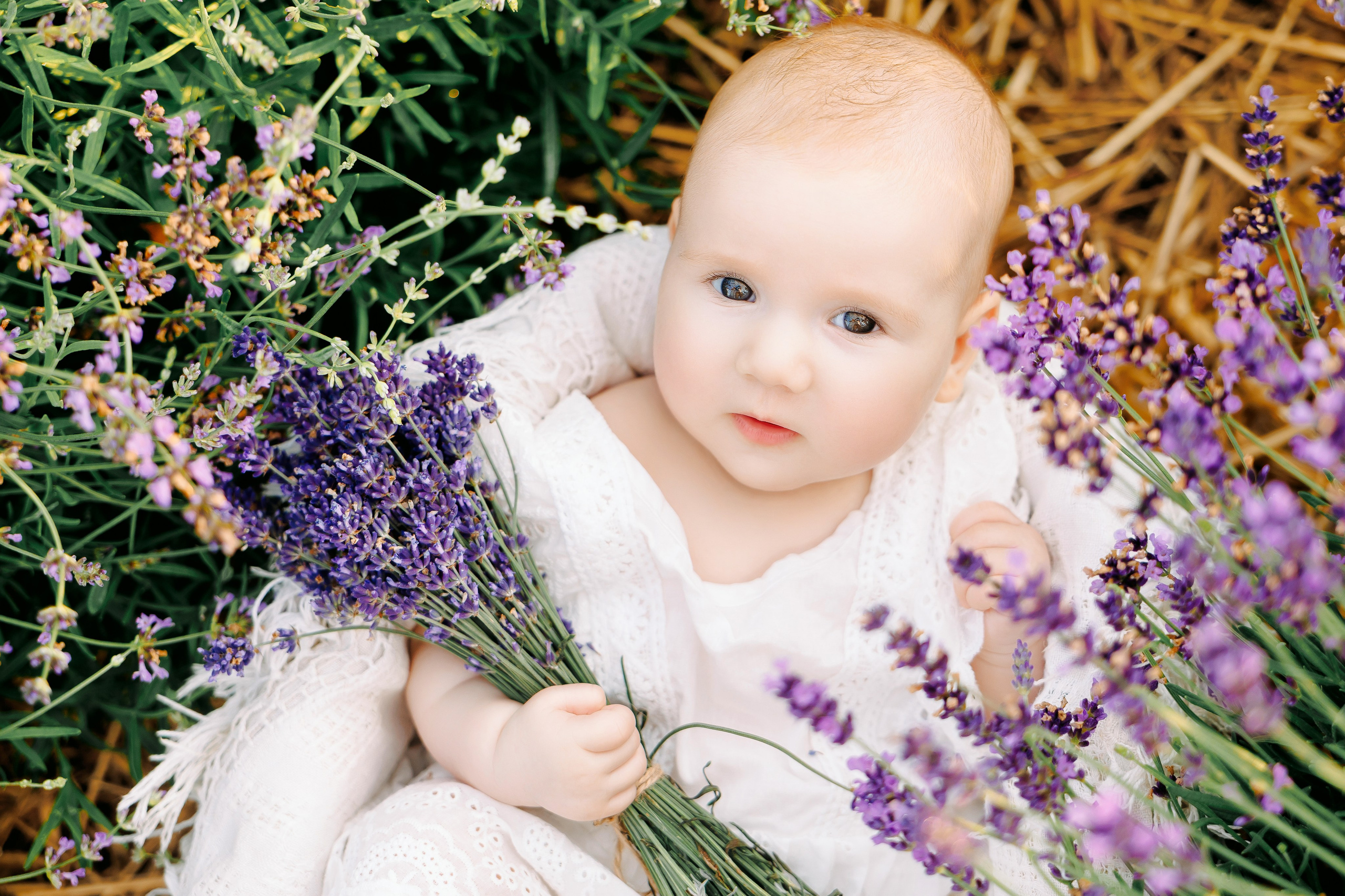 Лаванда. Фотограф новорожденных, семейный фотограф Брест Кристина Маслова