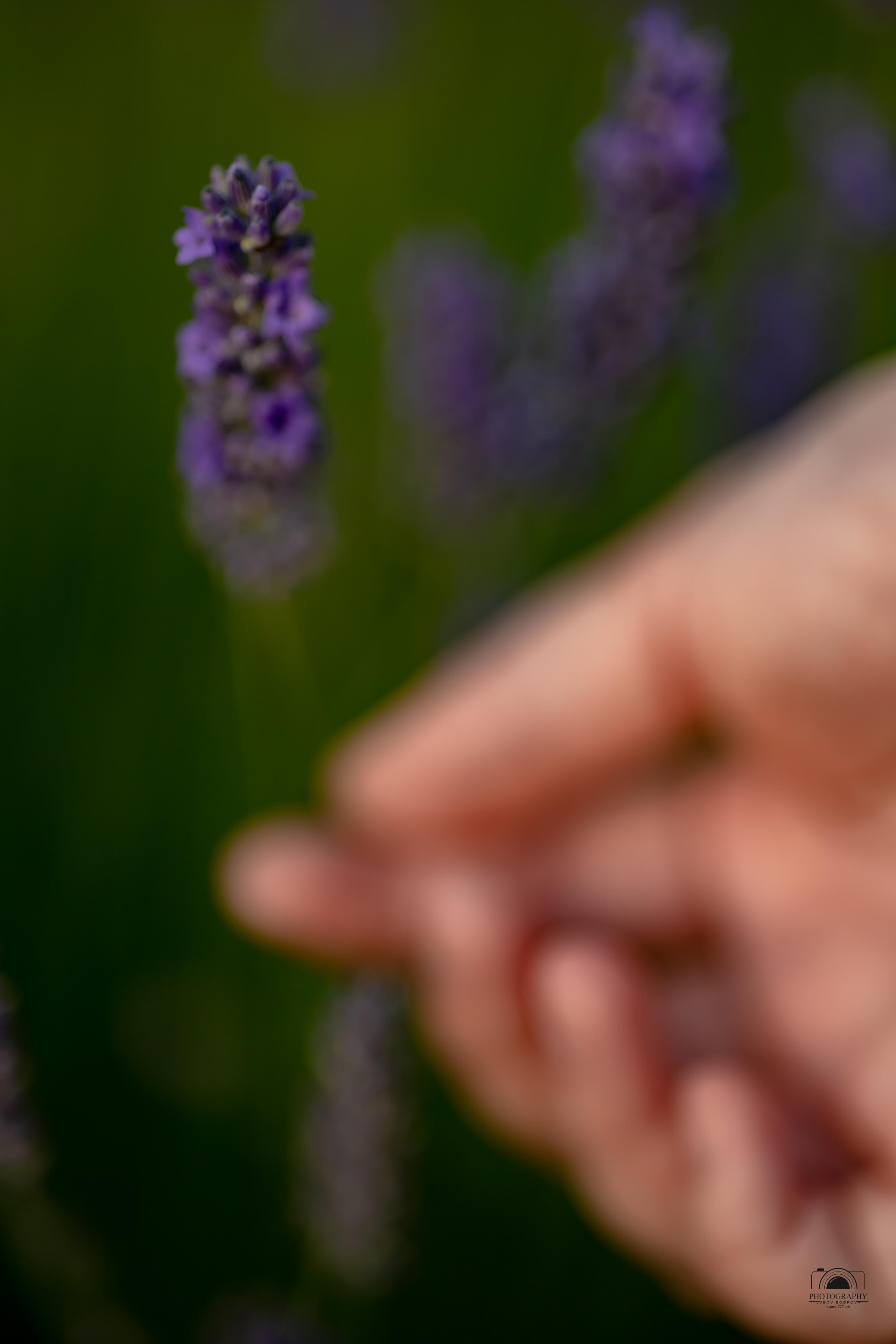 Елизавета. Семейный и портретный фотограф в Геленджике Любовь Бодрова
