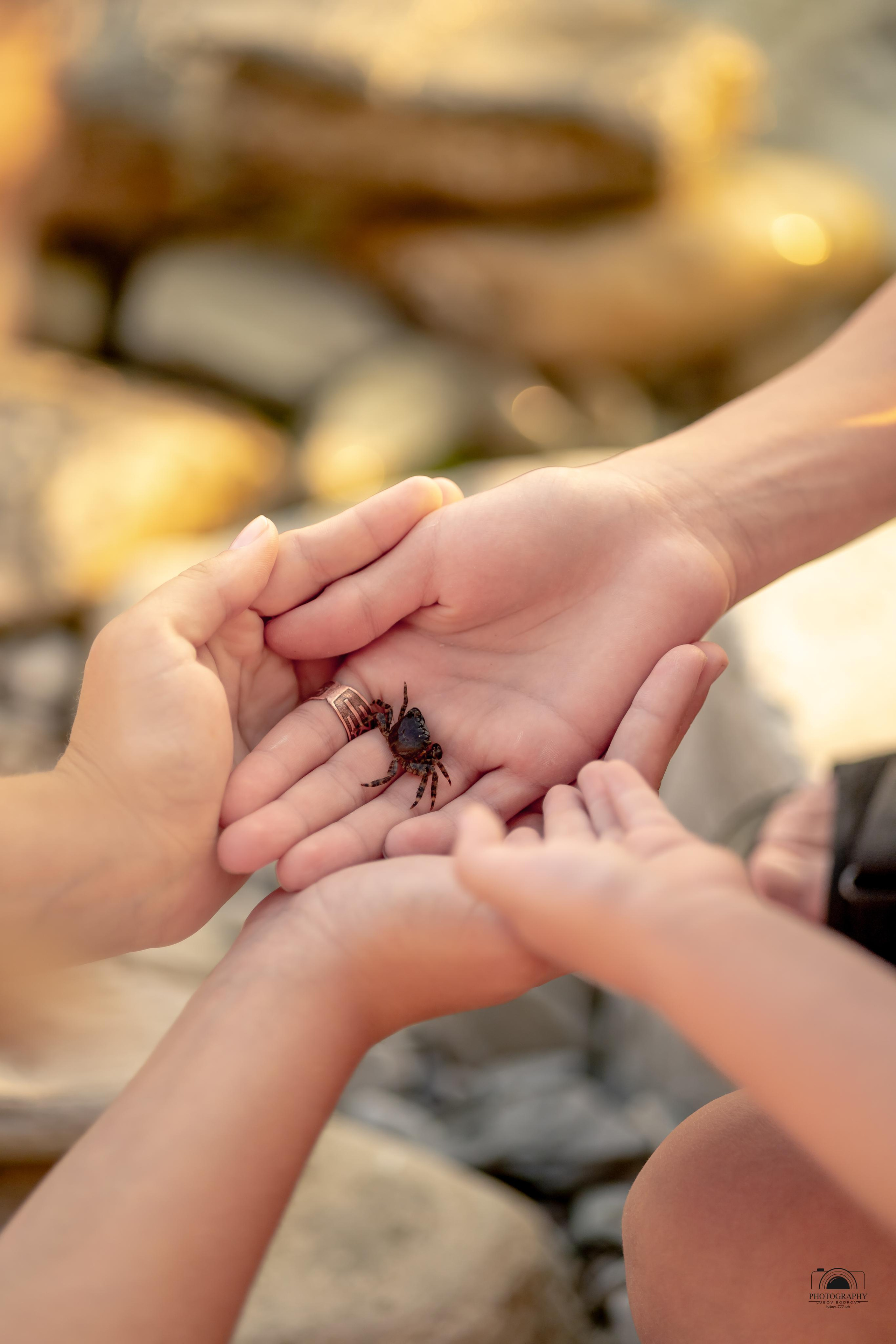 Прекрасный закат в кругу семьи. 17.06.2023. Семейный и портретный фотограф в Геленджике Любовь Бодрова